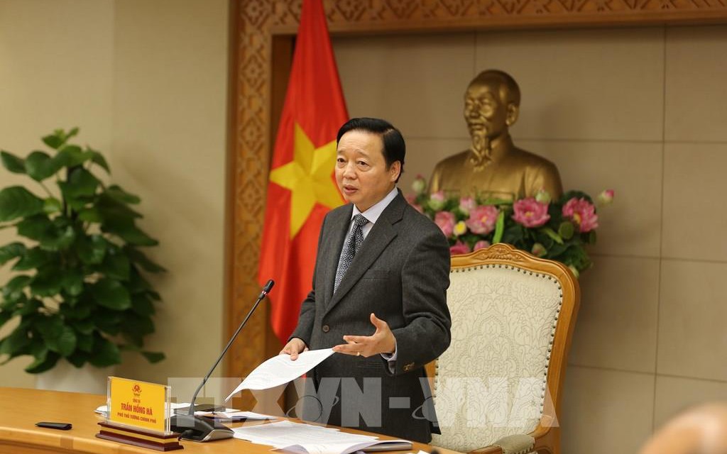 Thủ tướng chỉ đạo lập đo&agrave;n kiểm tra chống IUU, Bộ C&ocirc;ng an điều tra dứt điểm vụ l&ocirc; h&agrave;ng c&aacute; cờ kiếm - Ảnh 2.