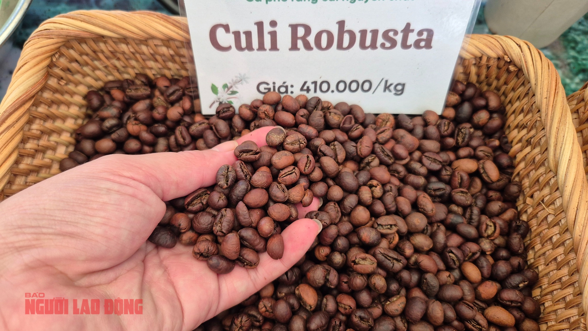 Cà phê lập kỷ lục xuất khẩu 9 tỉ USD: Chủ tịch VICOFA nói gì? - Ảnh 1.