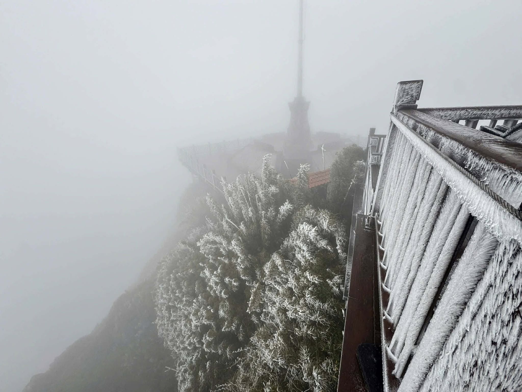 - Ảnh 1. - Ảnh 1.