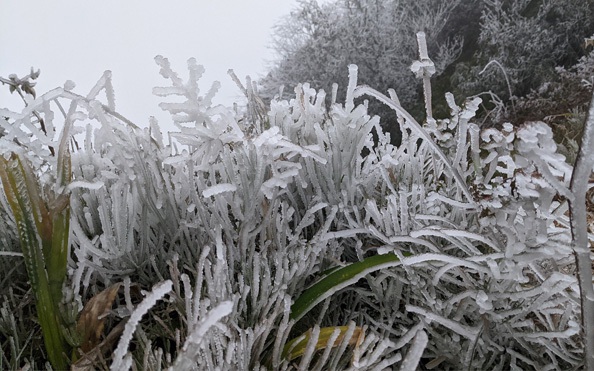 Nhiều nơi ở miền Bắc 5 độ C , đợt rét đậm kéo dài đến khi nào? - Ảnh 2. Nhiều nơi ở miền Bắc 5 độ C , đợt rét đậm kéo dài đến khi nào? - Ảnh 2.