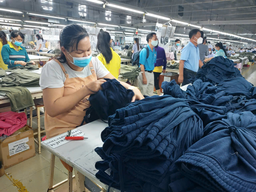 Bảo vệ lao động nữ mang thai, nu&ocirc;i con nhỏ - Ảnh 1.