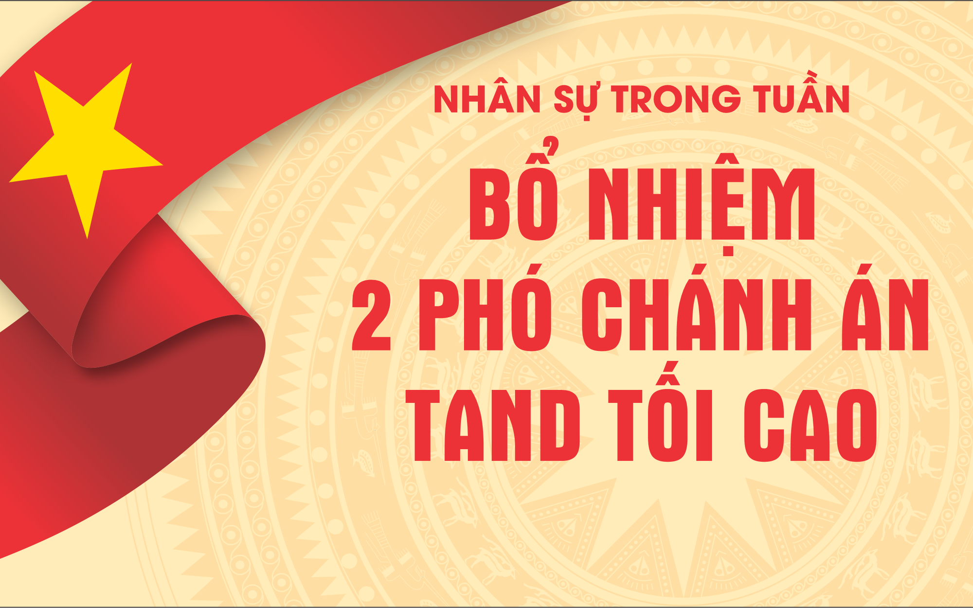 &Ocirc;ng B&ugrave;i Thế Duy giữ chức Ph&oacute; Chủ tịch Viện H&agrave;n l&acirc;m Khoa học v&agrave; C&ocirc;ng nghệ Việt Nam - Ảnh 2.