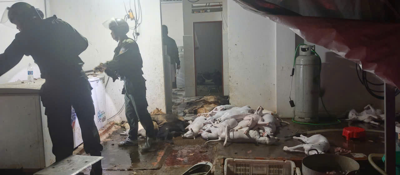 Đột k&iacute;ch c&ocirc;ng xưởng giết mổ ch&oacute; trộm ở T&acirc;y Ninh , bắt giữ nhiều đối tượng - Ảnh 8.