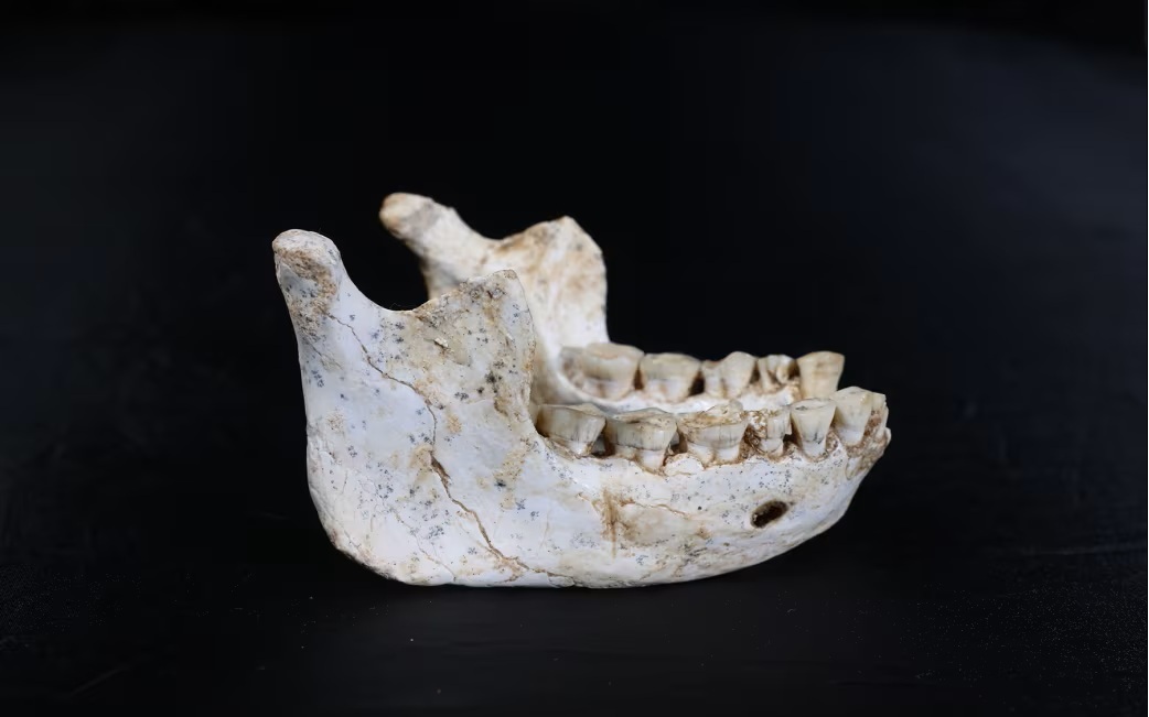 Đ&ocirc;ng Nam &Aacute; xuất hiện th&ecirc;m một lo&agrave;i người b&iacute; ẩn? - Ảnh 2.