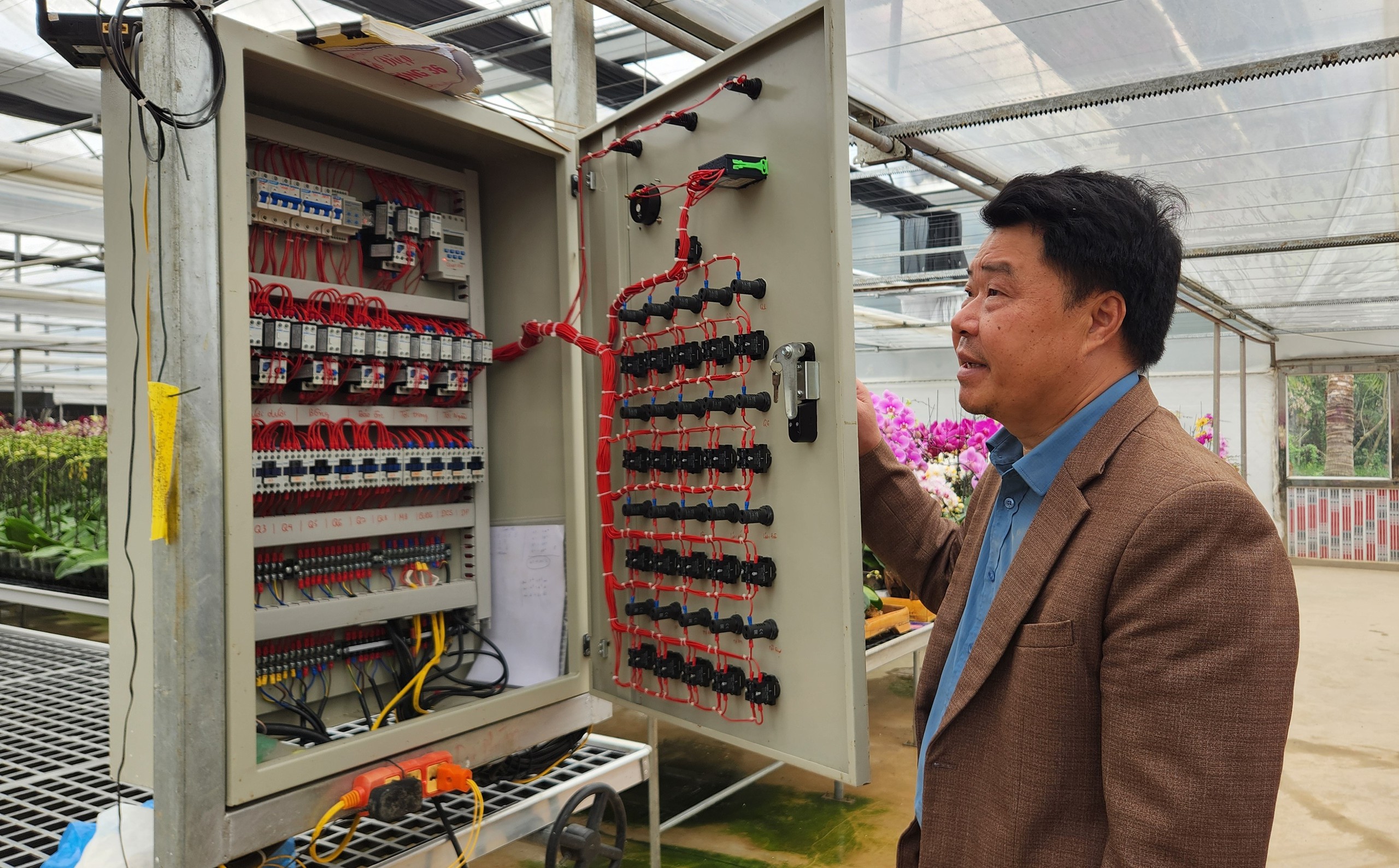 Đầu tư 10 tỉ đồng trồng loài hoa "quý tộc" bán cho người dân chơi Tết - Ảnh 4.