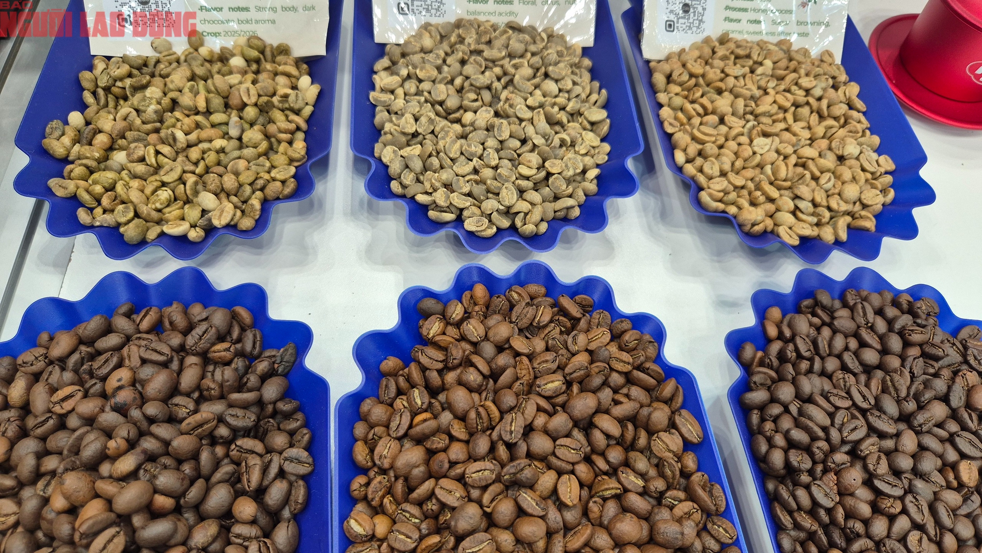 Giá cà phê hôm nay 1-2: Nông dân chờ giá lên - Ảnh 1.