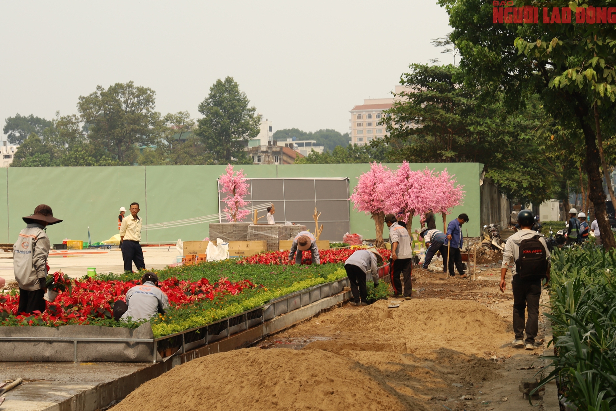 Khu đất 152 Trần Ph&uacute; ở TPHCM biến h&igrave;nh th&agrave;nh c&ocirc;ng vi&ecirc;n trước Tết 2026 - Ảnh 2.