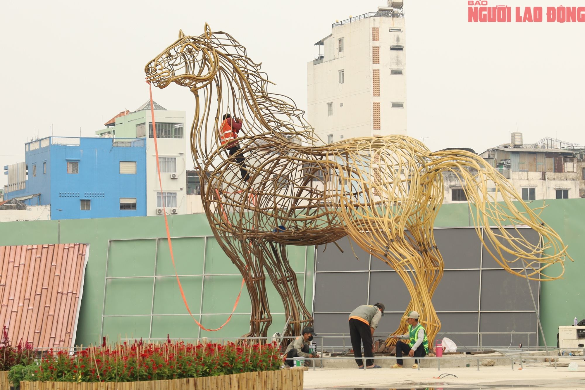 Khu đất 152 Trần Ph&uacute; ở TPHCM biến h&igrave;nh th&agrave;nh c&ocirc;ng vi&ecirc;n trước Tết 2026 - Ảnh 4.