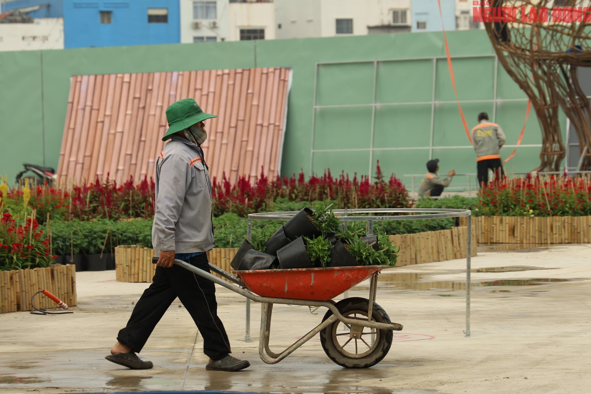 Khu đất 152 Trần Ph&uacute; ở TPHCM biến h&igrave;nh th&agrave;nh c&ocirc;ng vi&ecirc;n trước Tết 2026 - Ảnh 6.