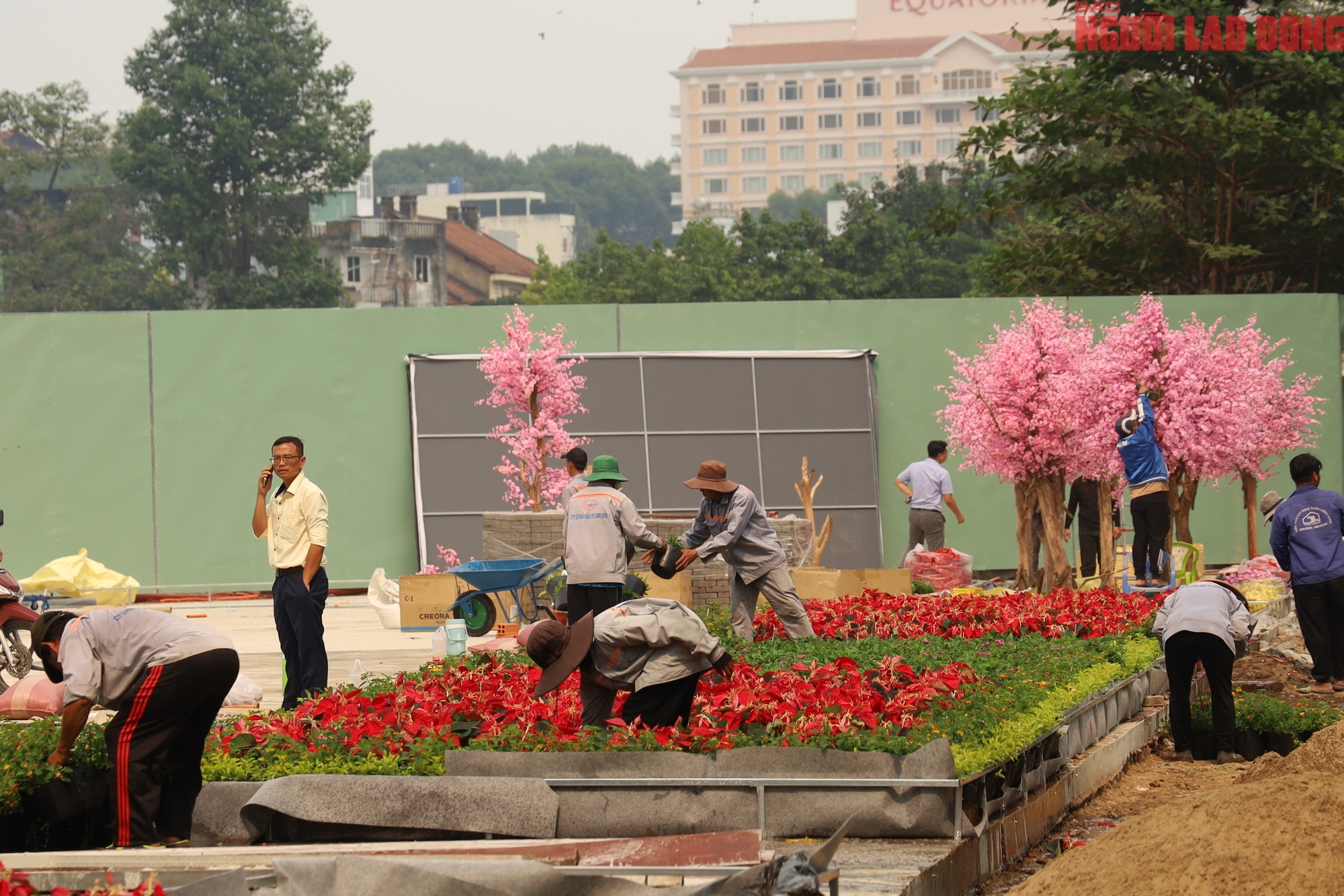 Khu đất 152 Trần Ph&uacute; ở TPHCM biến h&igrave;nh th&agrave;nh c&ocirc;ng vi&ecirc;n trước Tết 2026 - Ảnh 7.
