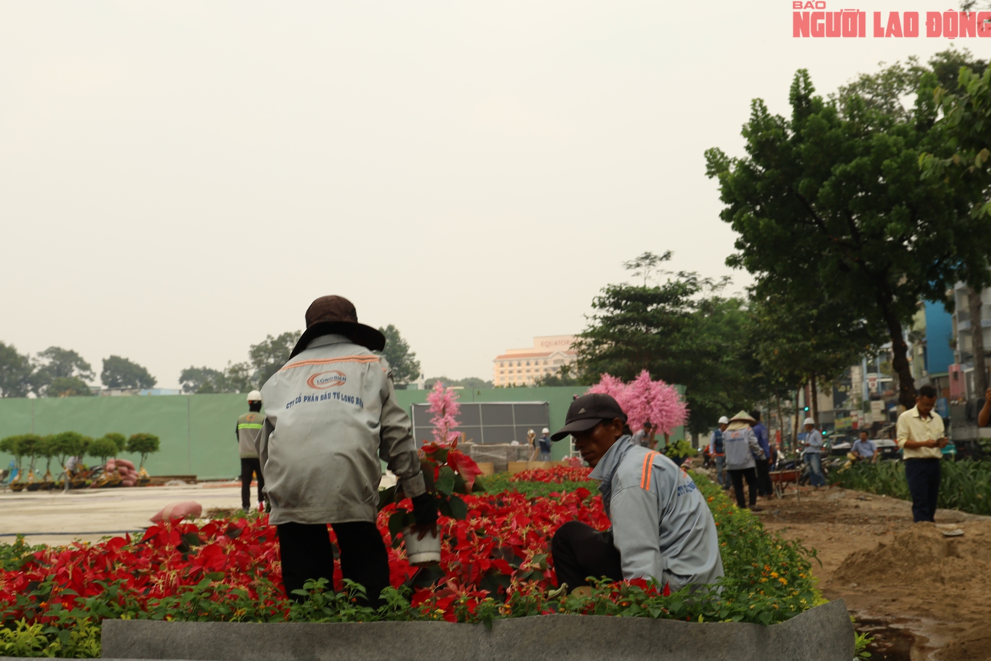 Khu đất 152 Trần Ph&uacute; ở TPHCM biến h&igrave;nh th&agrave;nh c&ocirc;ng vi&ecirc;n trước Tết 2026 - Ảnh 8.