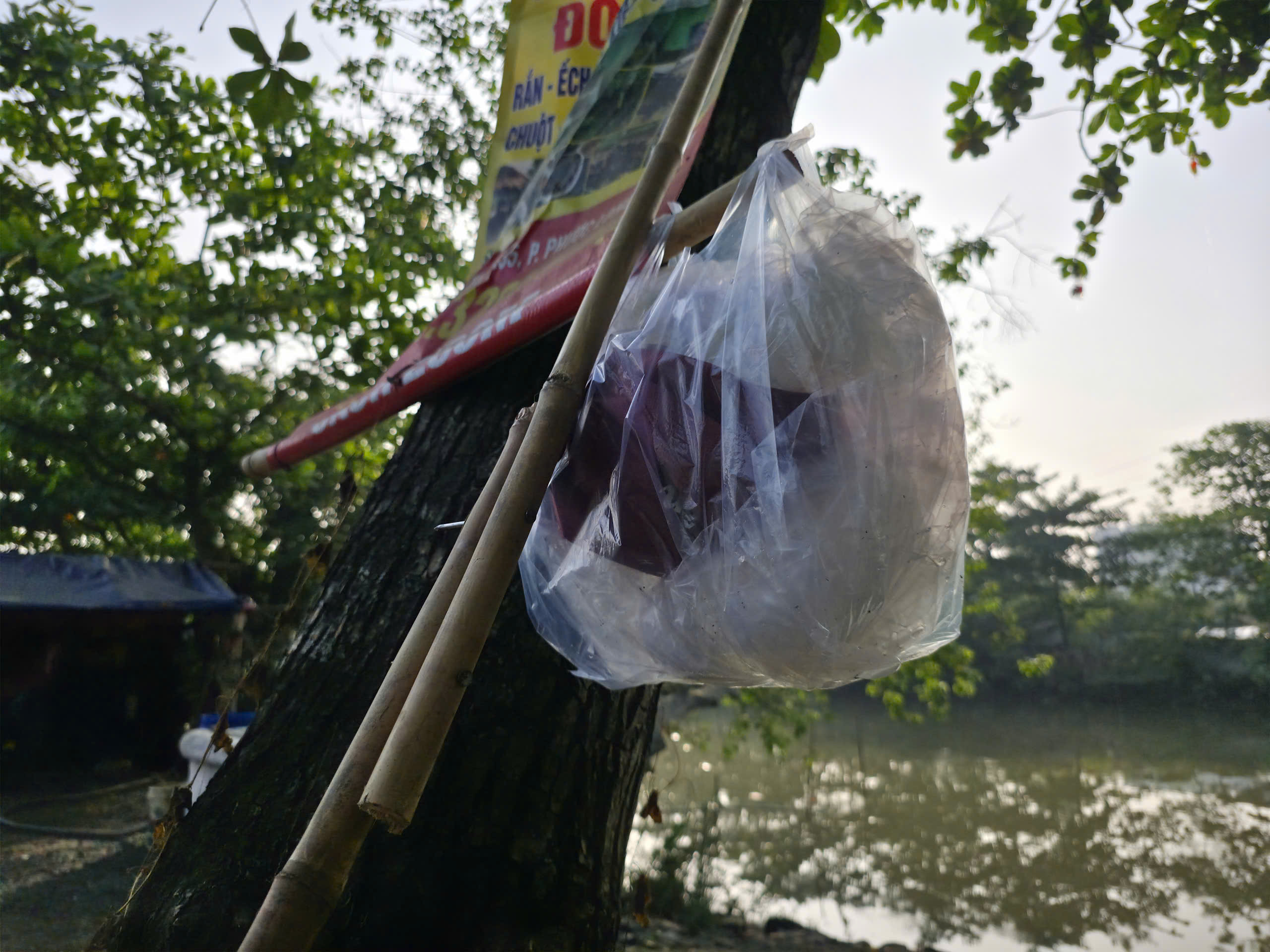 Người d&acirc;n TP HCM đi thả c&aacute; ch&eacute;p từ s&aacute;ng sớm - Ảnh 14.