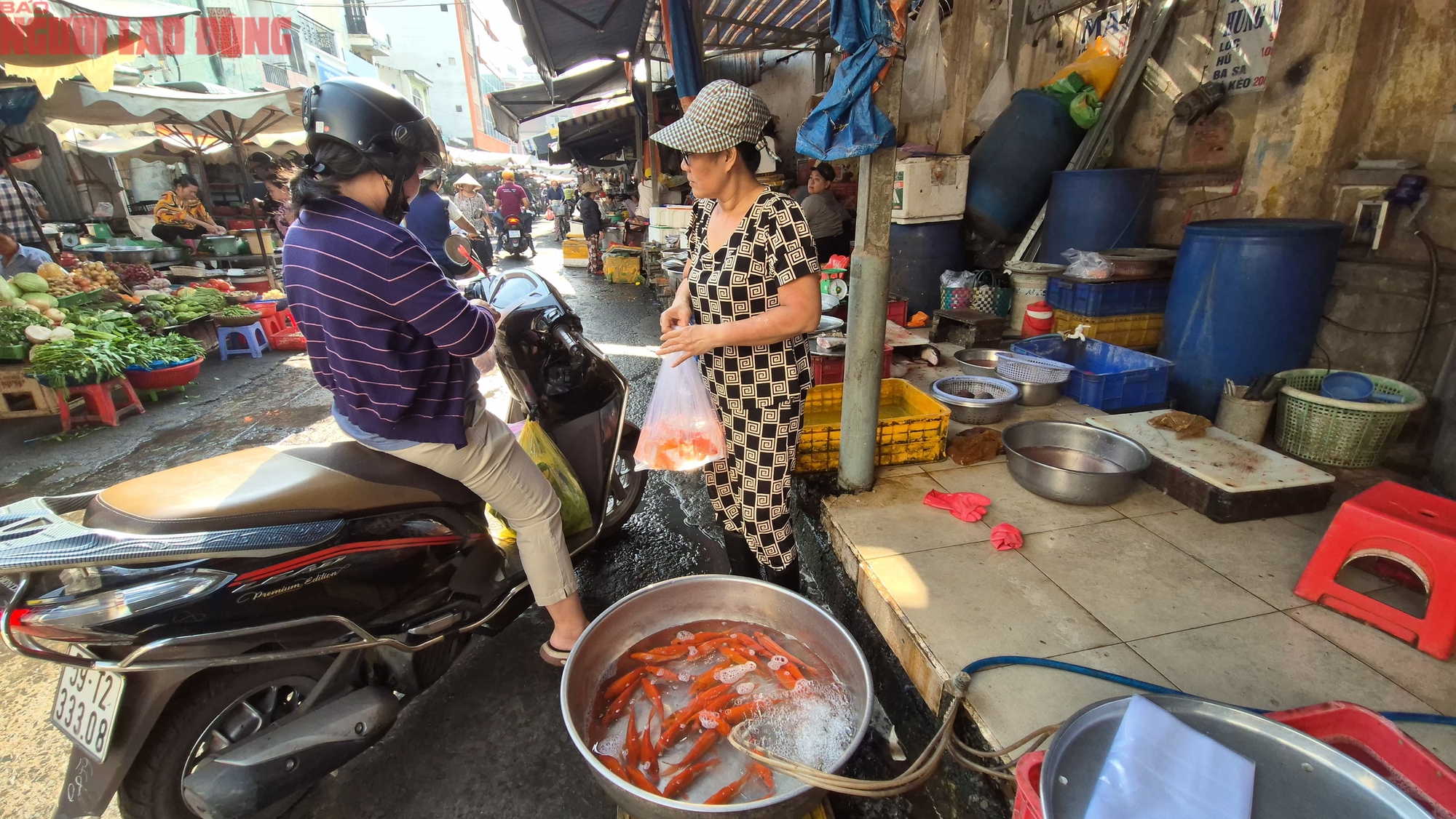 Chợ Tết 23 th&aacute;ng Chạp: C&aacute; ch&eacute;p nhỏ v&agrave; tr&aacute;i c&acirc;y đổ bộ Thị trường c&uacute;ng &ocirc;ng T&aacute;o - Ảnh 3.