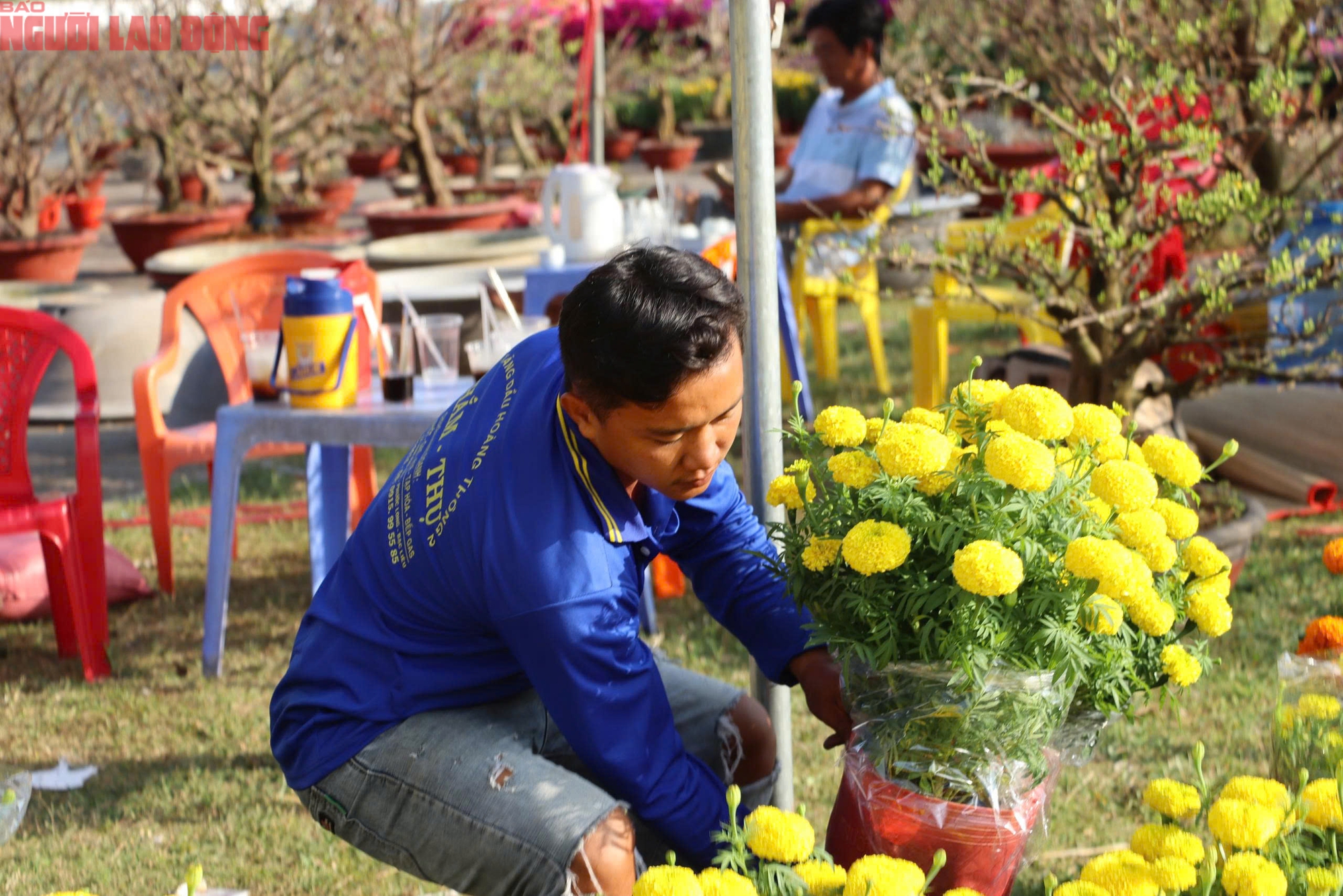 Hoa kiểng Tết 2026 gi&aacute; b&igrave;nh d&acirc;n h&uacute;t kh&aacute;ch tại miền T&acirc;y - Ảnh 4.