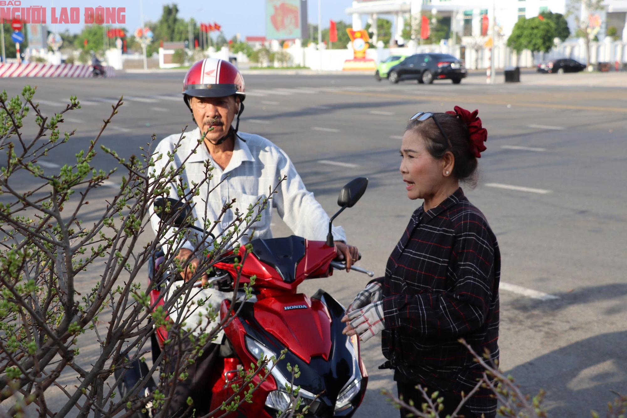 VIDEO: Hoa, kiểng Tết gi&aacute; b&igrave;nh d&acirc;n h&uacute;t kh&aacute;ch tại miền T&acirc;y - Ảnh 1.