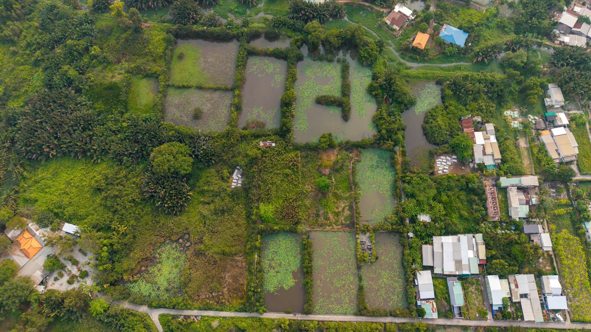 Kỳ vọng b&aacute;n đảo B&igrave;nh Quới - Thanh Đa "thay da đổi thịt" - Ảnh 4.