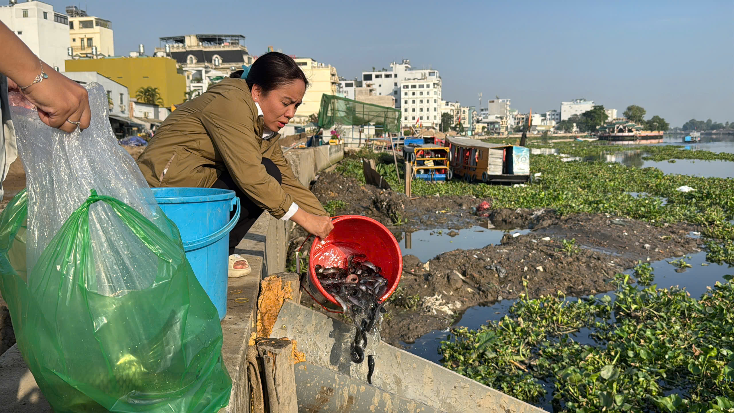 Người d&acirc;n TP HCM đi thả c&aacute; ch&eacute;p từ s&aacute;ng sớm - Ảnh 6.