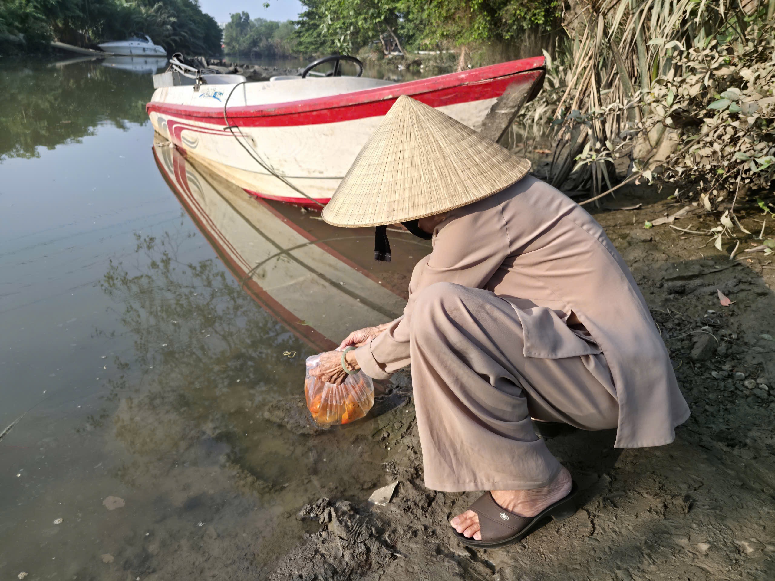 Người d&acirc;n TP HCM đi thả c&aacute; ch&eacute;p từ s&aacute;ng sớm - Ảnh 12.