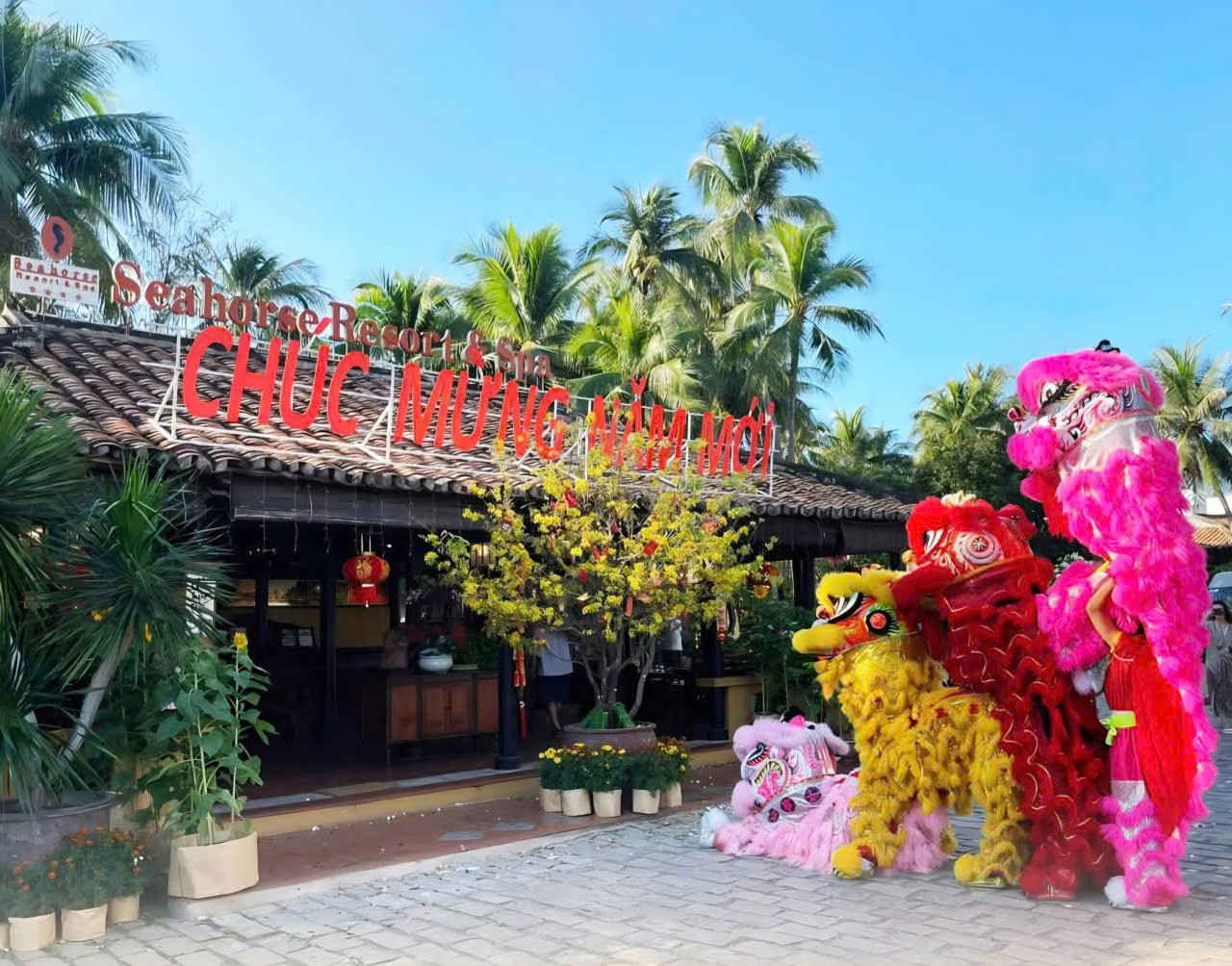 Du khách quốc tế trải nghiệm Tết Việt, gói bánh chưng tại Mũi Né - Ảnh 5. Du khách quốc tế trải nghiệm Tết Việt, gói bánh chưng tại Mũi Né - Ảnh 5.