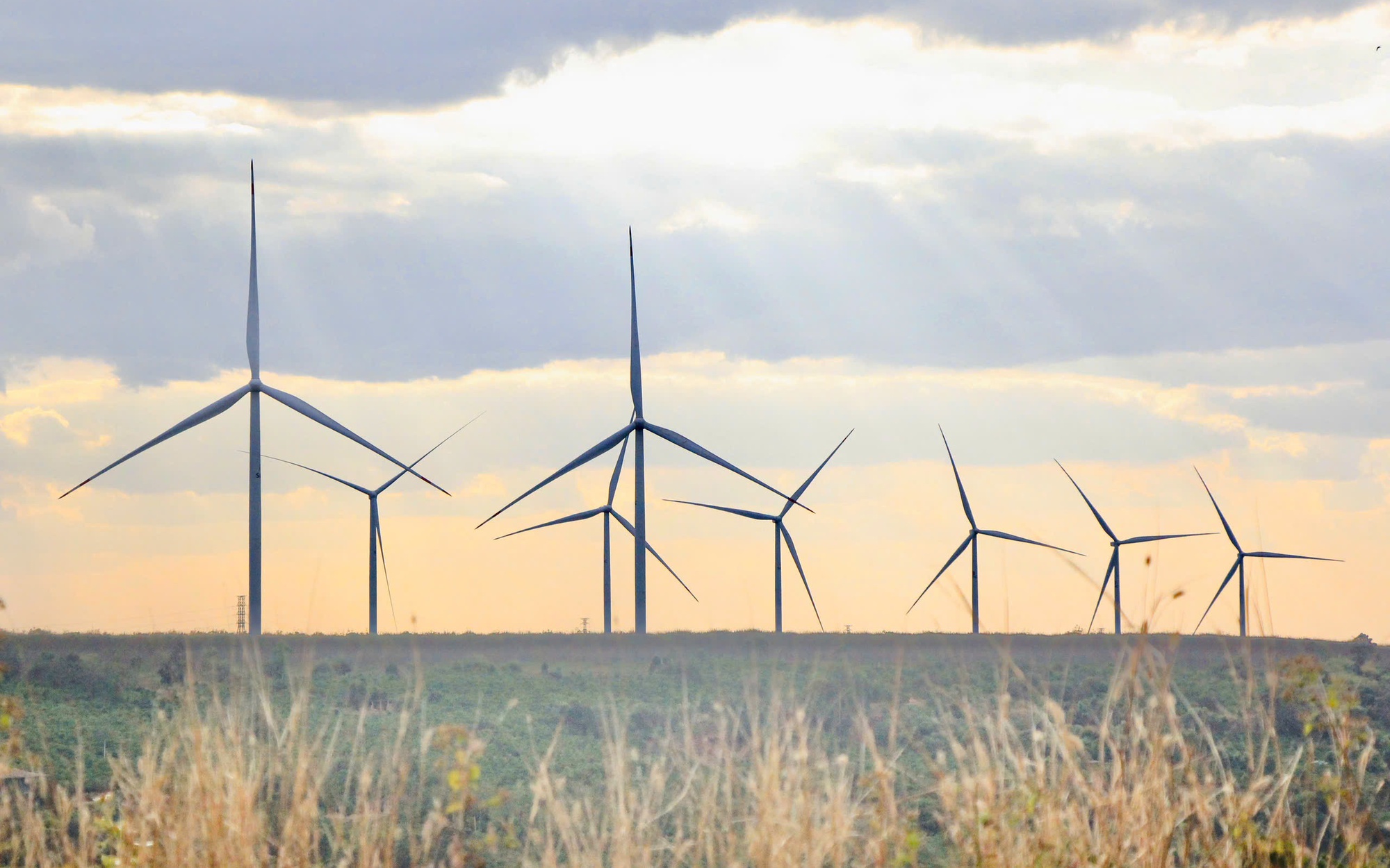 G&aacute;c niềm ri&ecirc;ng, giữ rừng xuy&ecirc;n Tết - Ảnh 3.