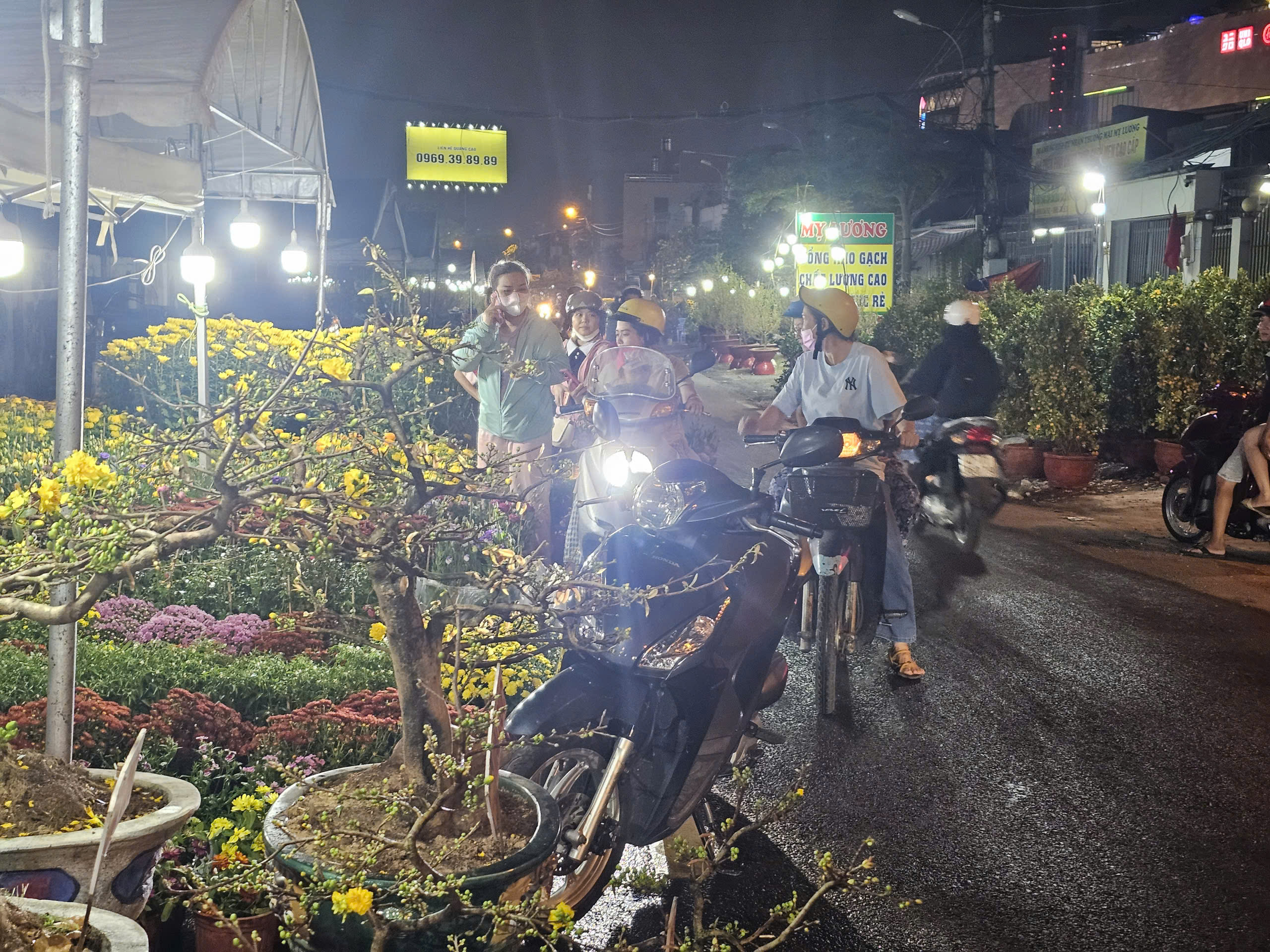 Thị trường hoa Tết 2026: Những lọai hoa đang “ cháy hàng ” và giá cả hấp dẫn - Ảnh 3.