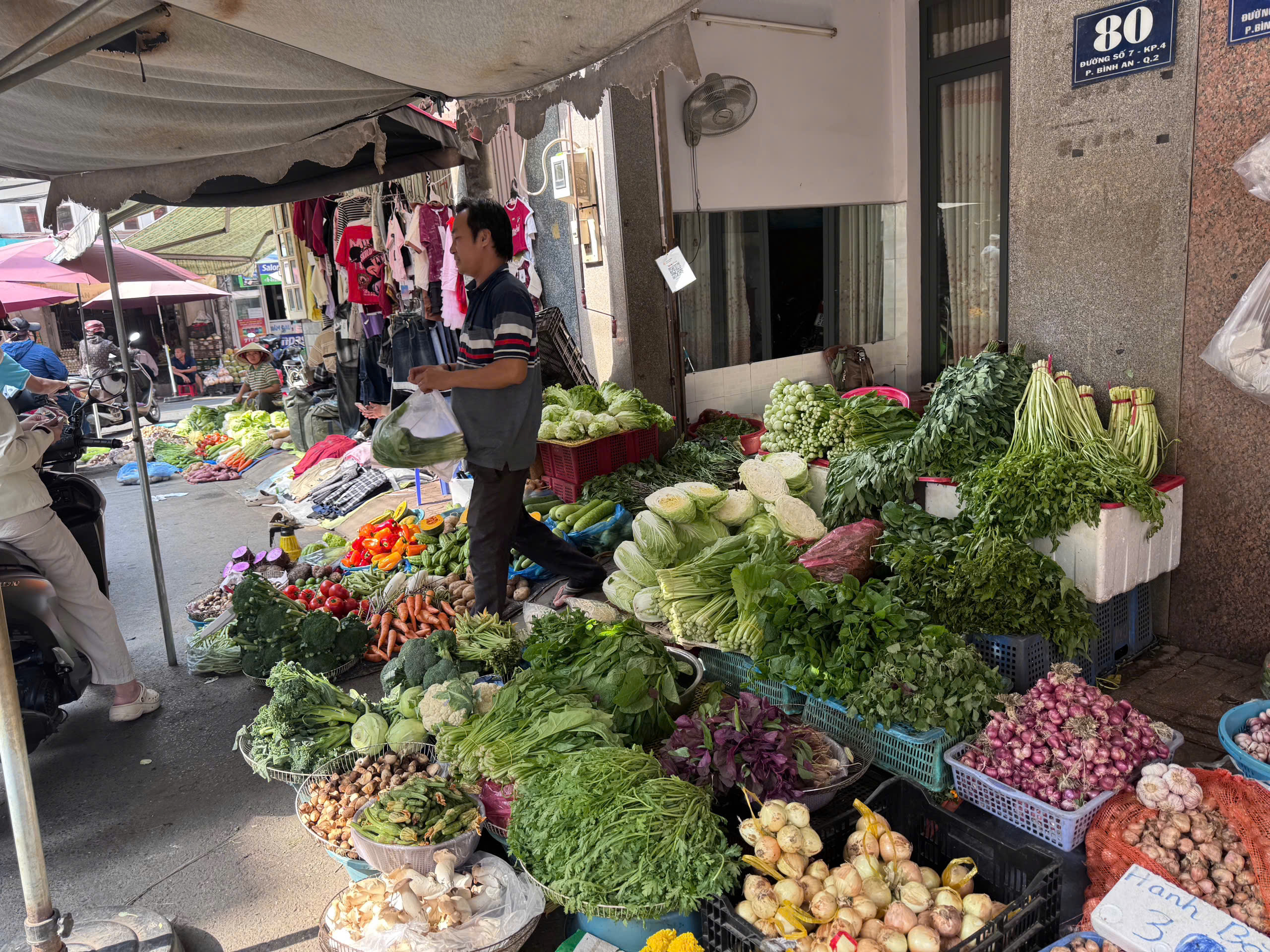 Rau củ quả dồi dào dịp Tết - Ảnh 1.