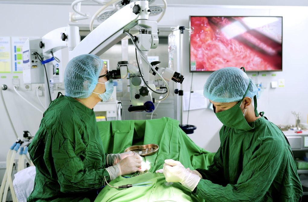 8 năm hiếm muộn và cái kết viên mãn mùa xuân 2026 - Ảnh 2.