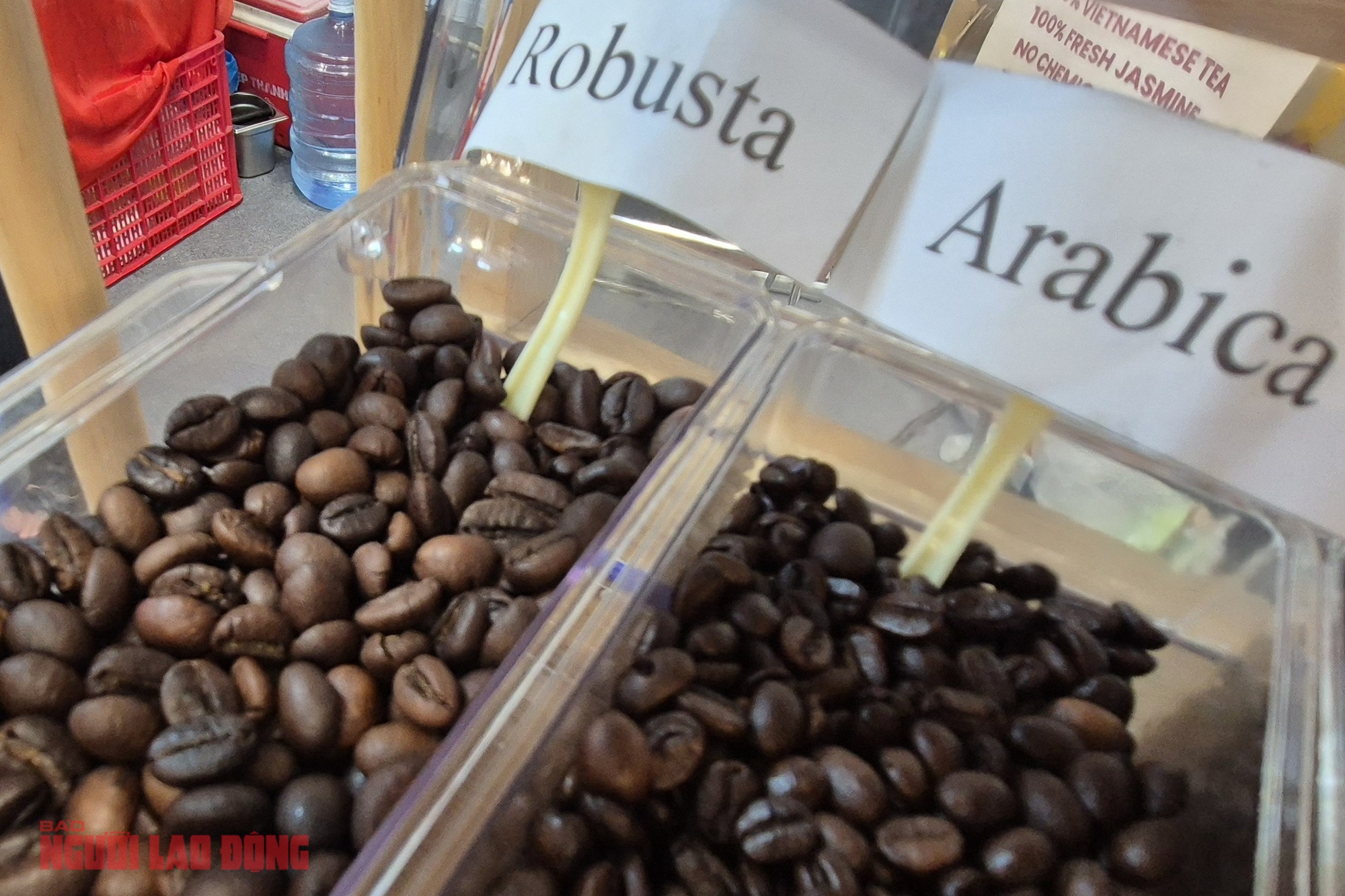 Giá cà phê hôm nay 12 - 2 - 2026: Phục hồi nhờ thông tin kinh tế tích cực - Ảnh 2.