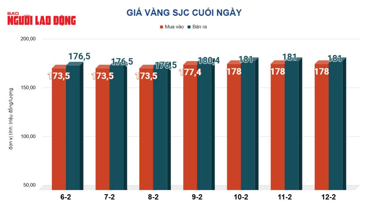 Giá vàng hôm nay 13-2: Giảm thẳng đứng - Ảnh 2.