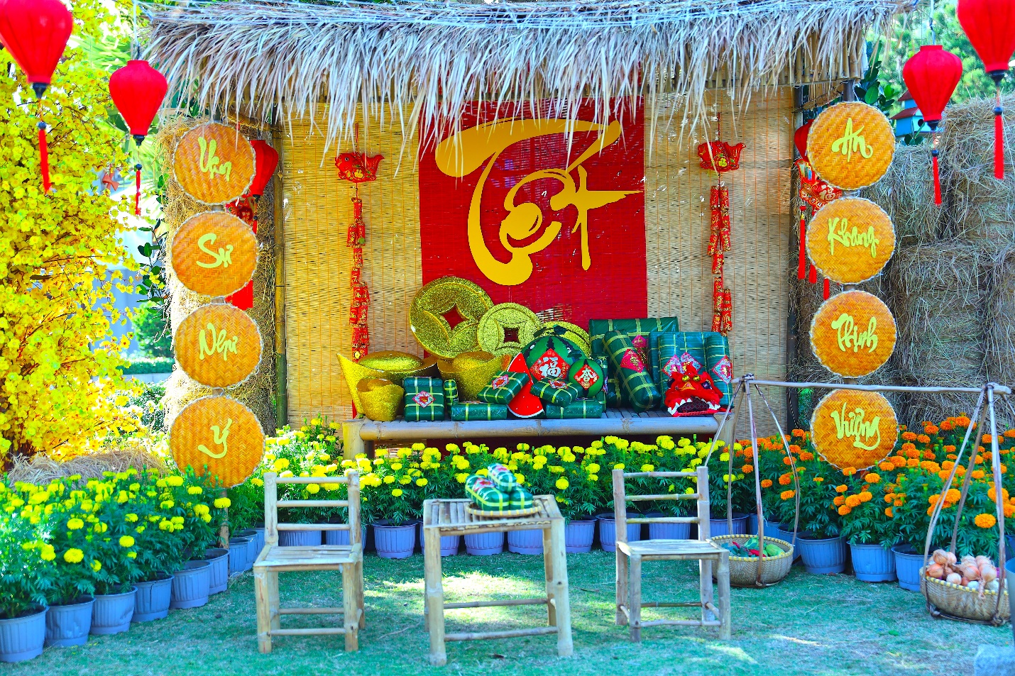 Trân Châu Beach & Resort rực rỡ cảnh quan, sẵn sàng đón Xuân Bính Ngọ 2026 - Ảnh 3.