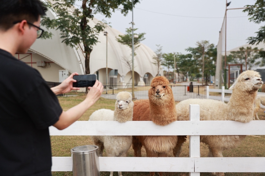 Khám phá “tọa độ du Xuân triệu view” tại The Global City - Ảnh 3.