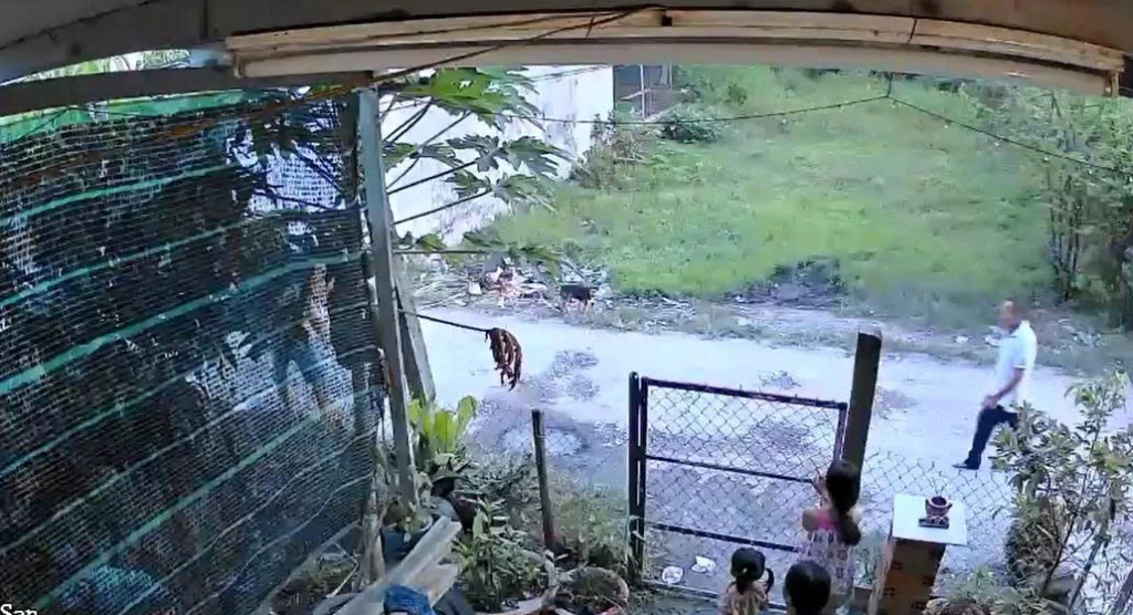 Tranh chấp đất ở Tây Ninh, cậu chém cháu gây thương tích 74% - Ảnh 1.