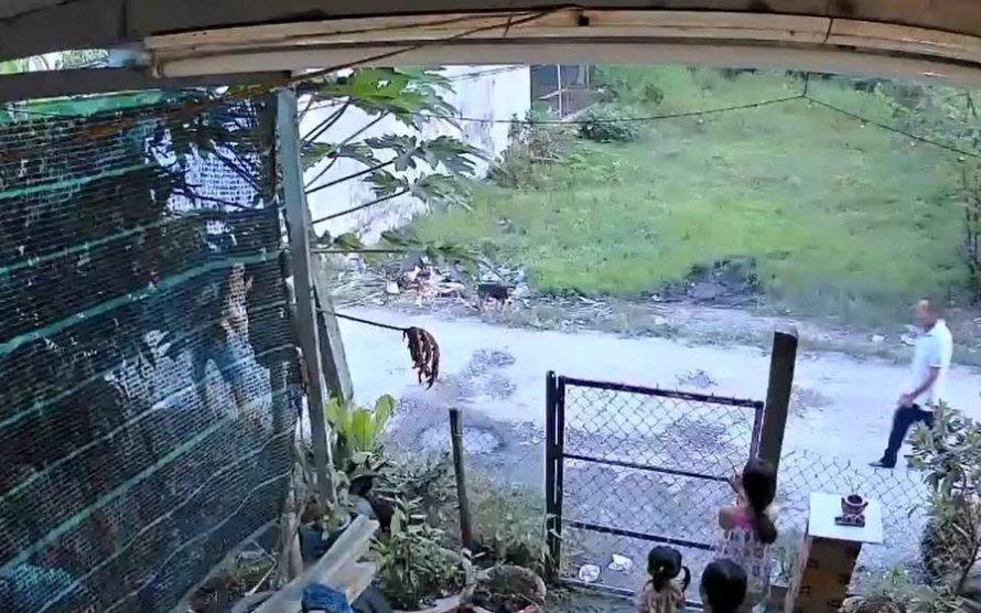 C&ocirc;ng an v&agrave;o cuộc vụ x&ocirc; x&aacute;t gi&agrave;nh chở thi thể ở bệnh viện - Ảnh 2.