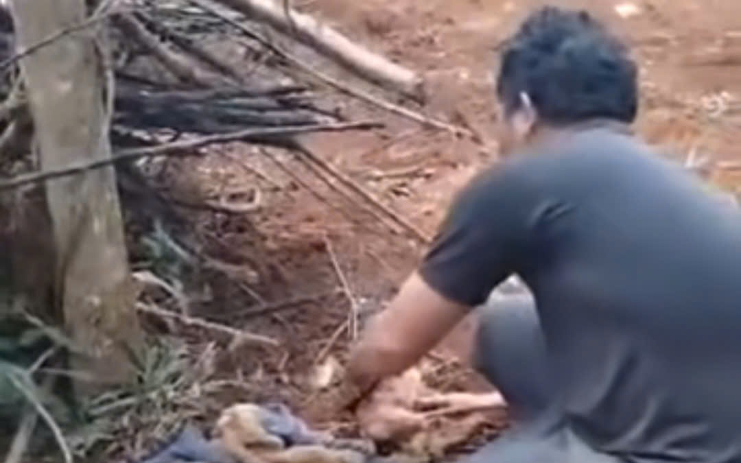 Th&ocirc;ng tin g&acirc;y sốc về vụ việc ph&aacute;t hiện trẻ sơ sinh bị bỏ rơi tr&ecirc;n rẫy vắng - Ảnh 2.