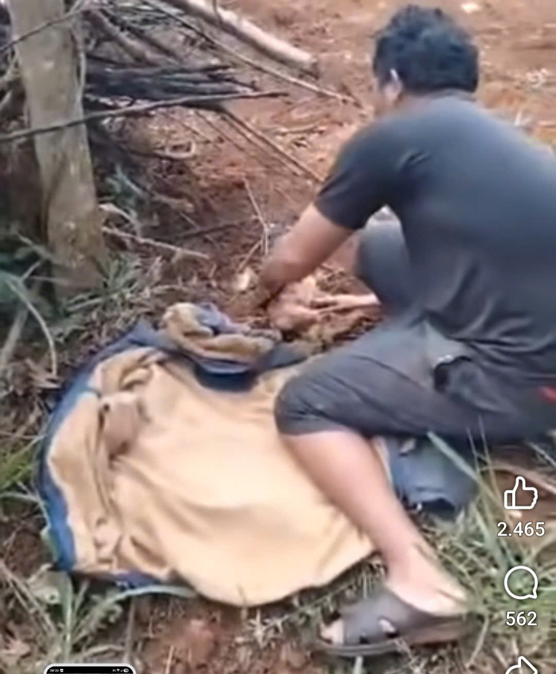 Đã Xác định được mẹ bỏ rơi con sơ sinh tại rẫy vắng ở Đắk Lắk - Ảnh 1. Đã Xác định được mẹ bỏ rơi con sơ sinh tại rẫy vắng ở Đắk Lắk - Ảnh 1.