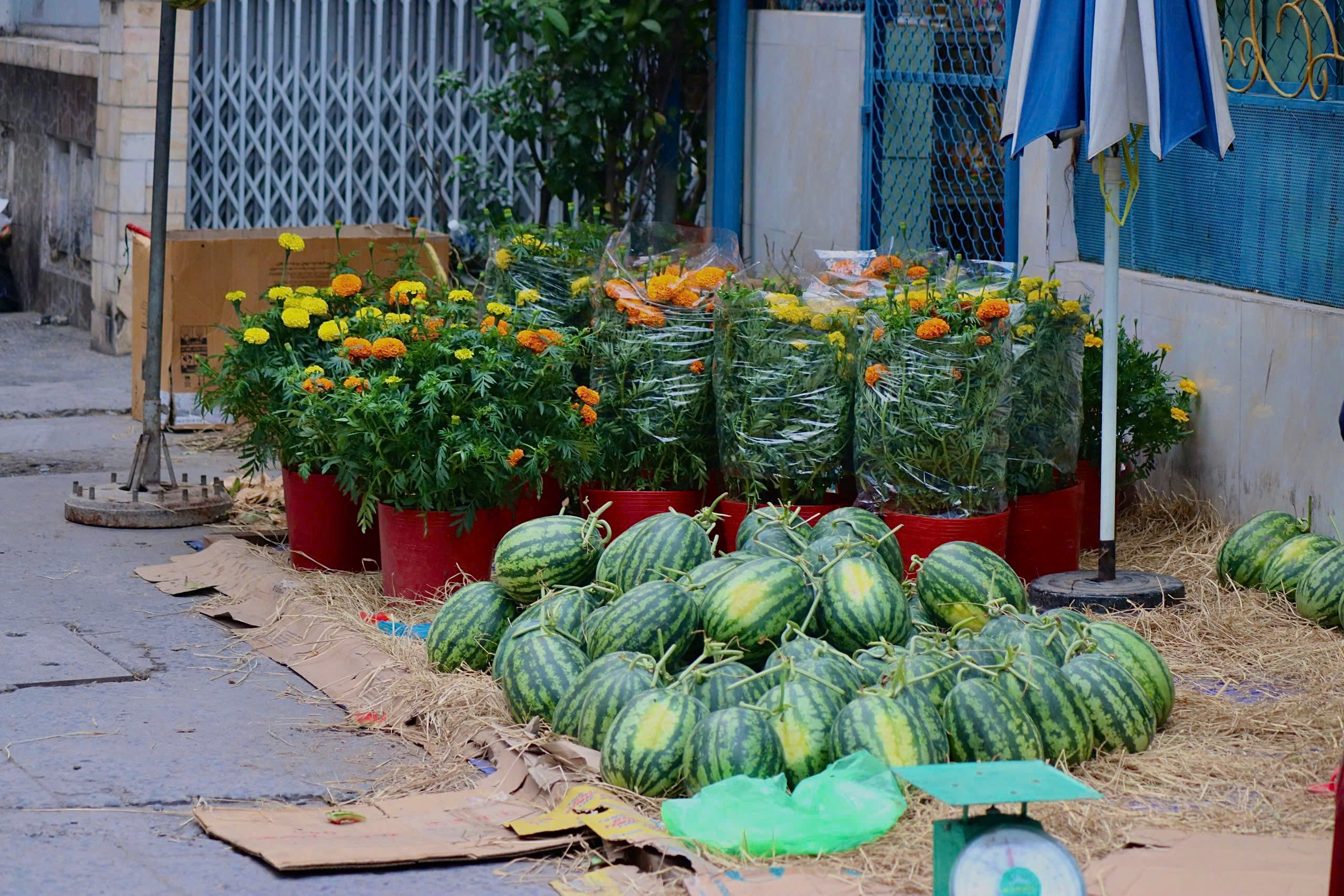 Hơi thở Tết trong hẻm nhỏ tại TPHCM  - Ảnh 11.