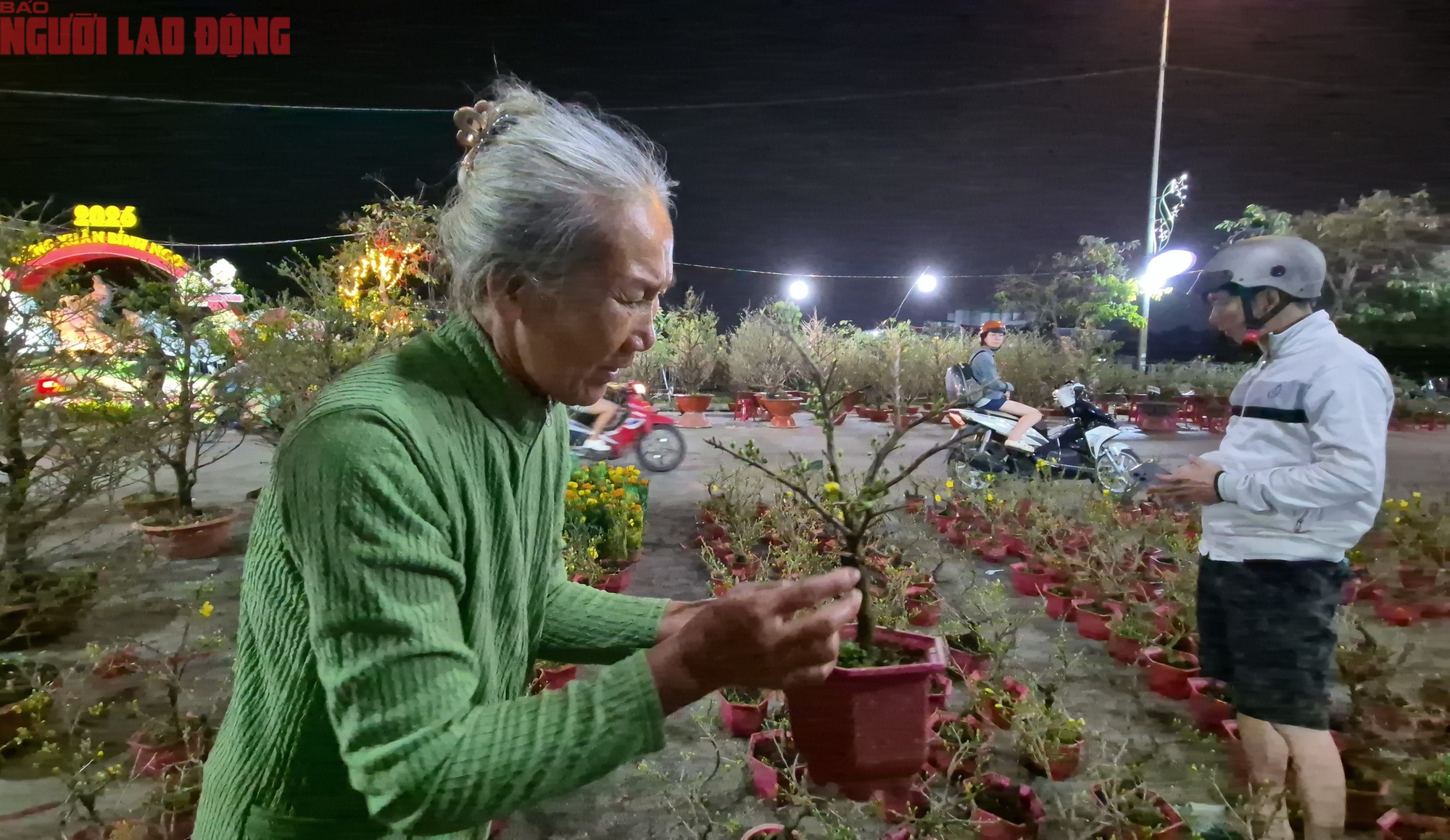 Chợ hoa Tết B&igrave;nh Điền 2026: Kh&ocirc;ng gian giao thương kinh tế đặc sắc - Ảnh 2.