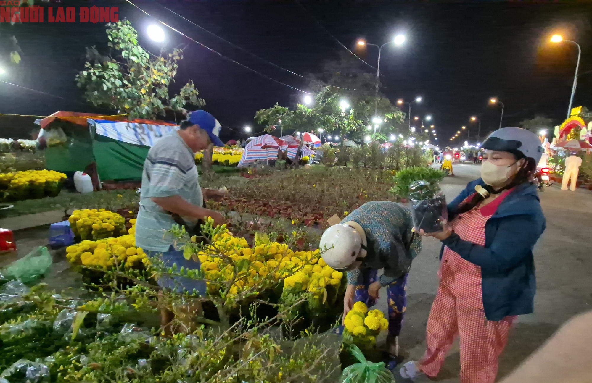 Chợ hoa Tết B&igrave;nh Điền 2026: Kh&ocirc;ng gian giao thương kinh tế đặc sắc - Ảnh 3.
