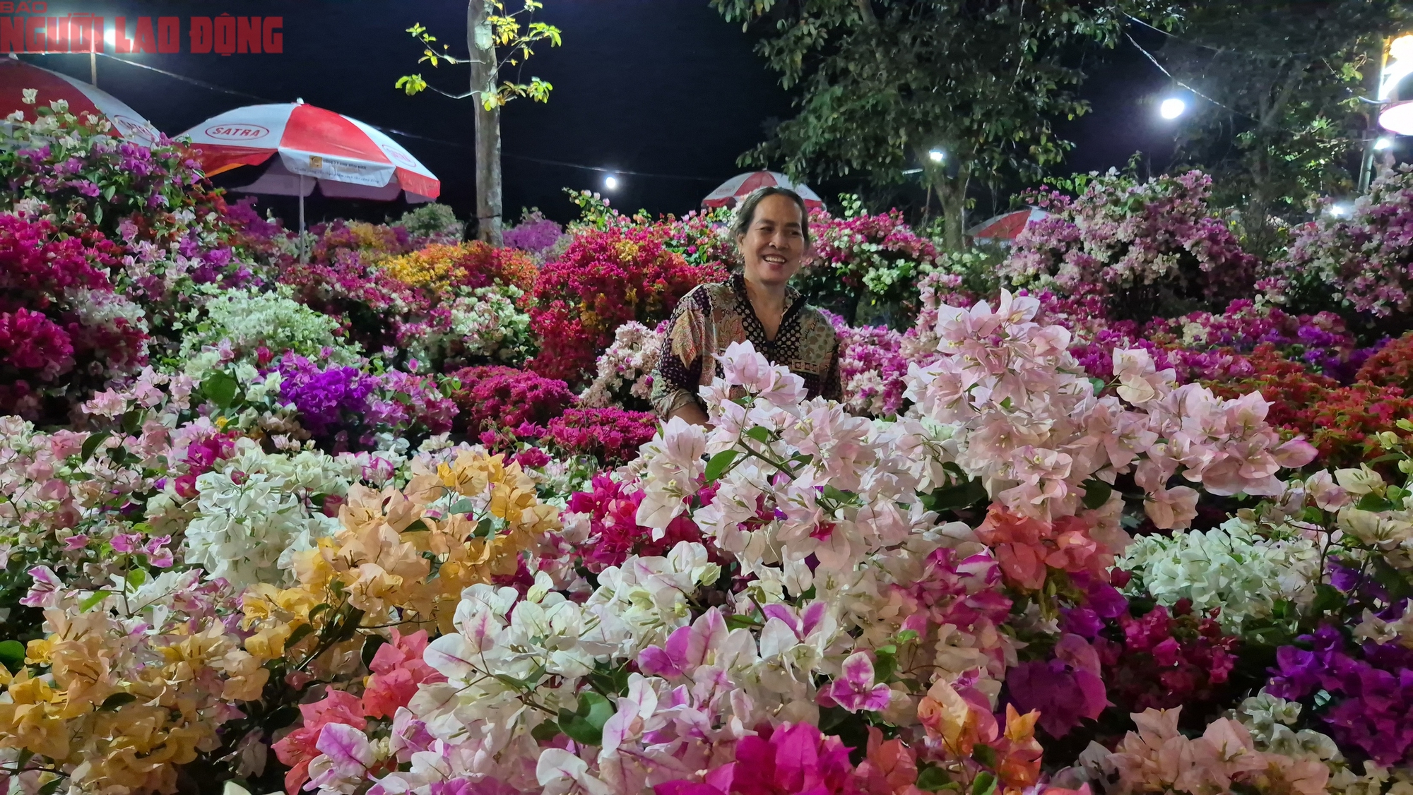 Chợ hoa Tết B&igrave;nh Điền 2026: Kh&ocirc;ng gian giao thương kinh tế đặc sắc - Ảnh 4.