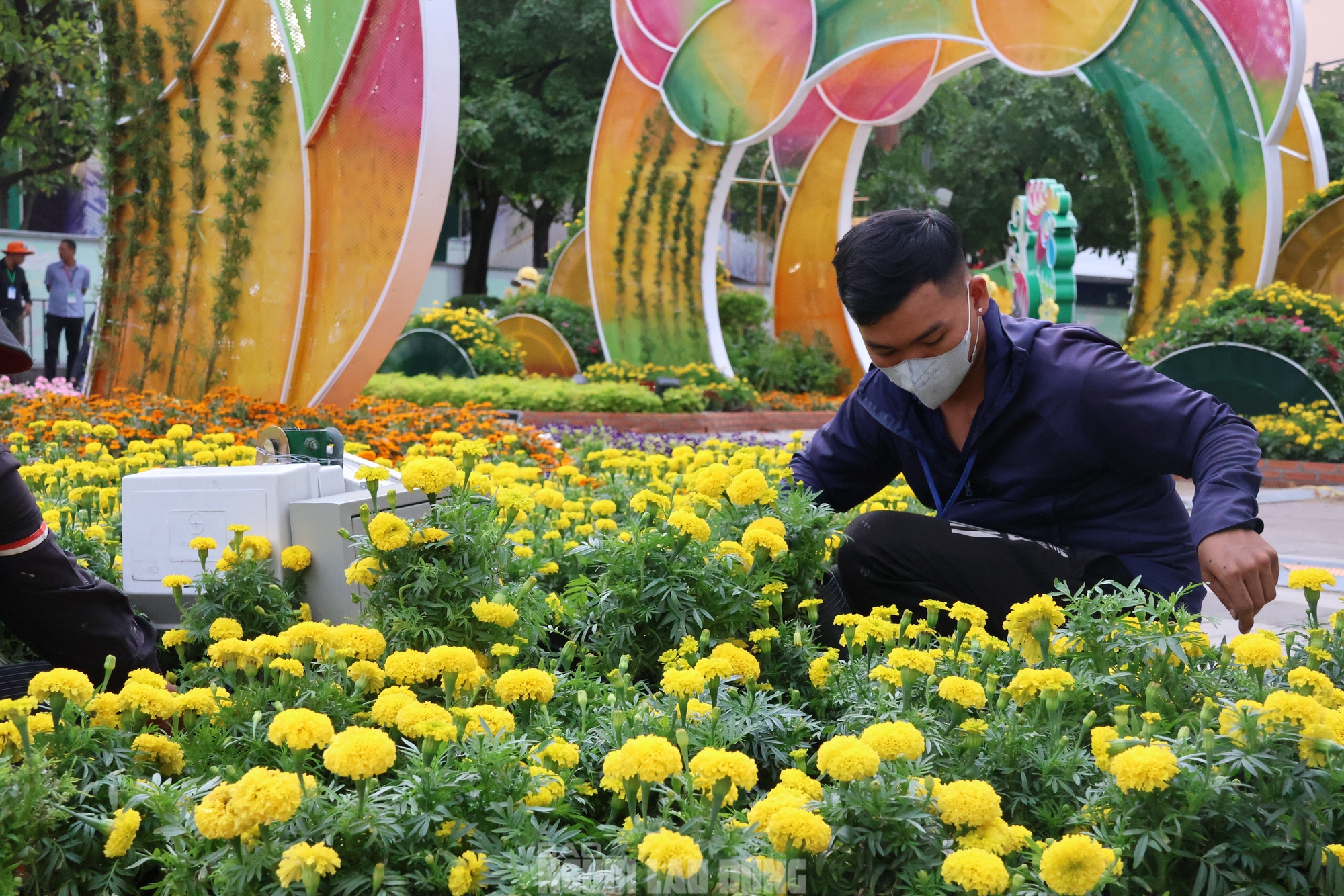 Ph&oacute; Chủ tịch UBND TPHCM kiểm tra Đường hoa Nguyễn Huệ Tết B&iacute;nh Ngọ 2026 trước giờ G - Ảnh 2.