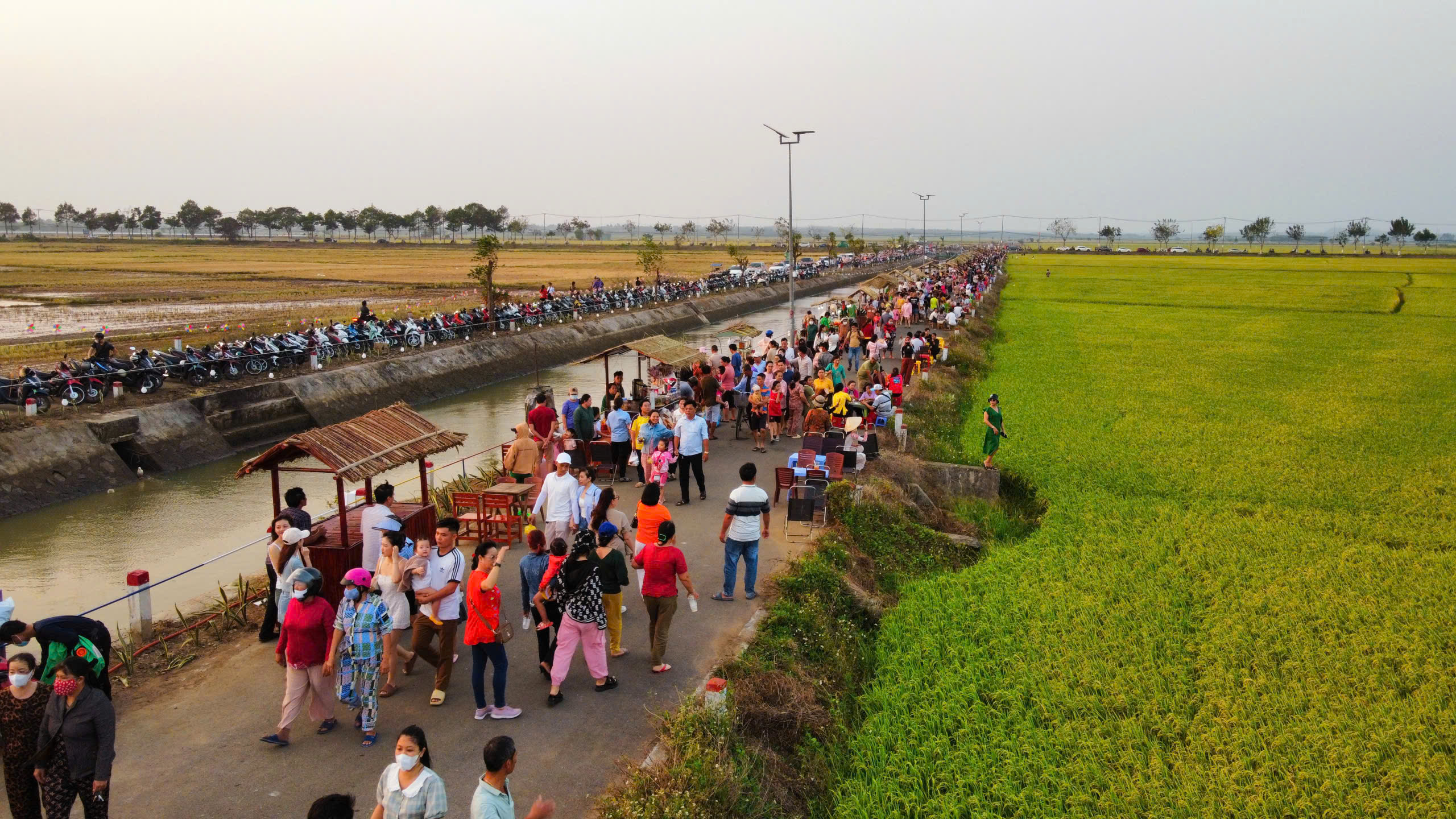 Chợ qu&ecirc; An Nhứt rộn r&agrave;ng giữa đồng l&uacute;a ng&agrave;y gi&aacute;p Tết - Ảnh 1.