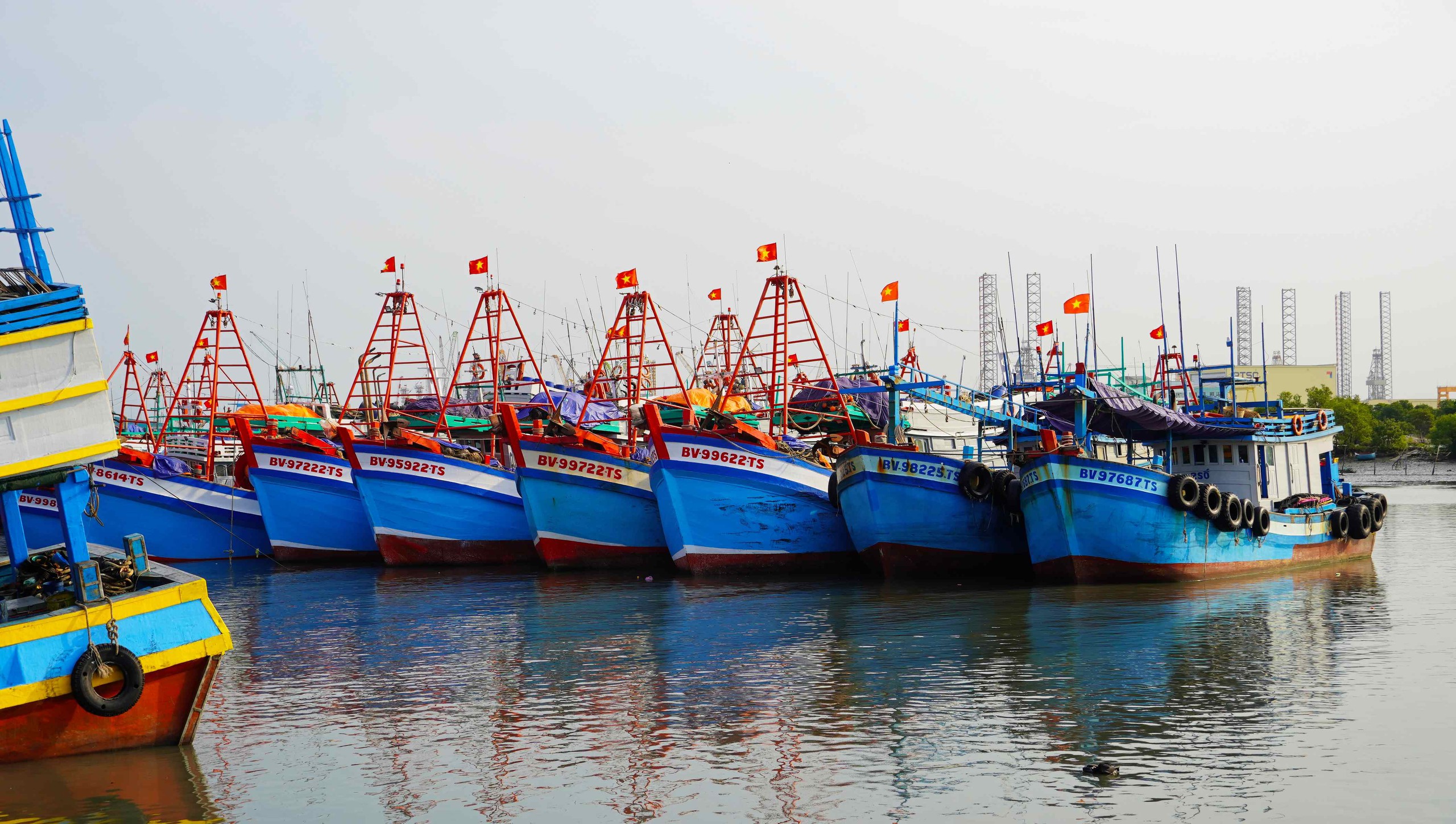 Ngư d&acirc;n TPHCM phấn khởi với chuyến biển cuối năm 2026 - Ảnh 8.