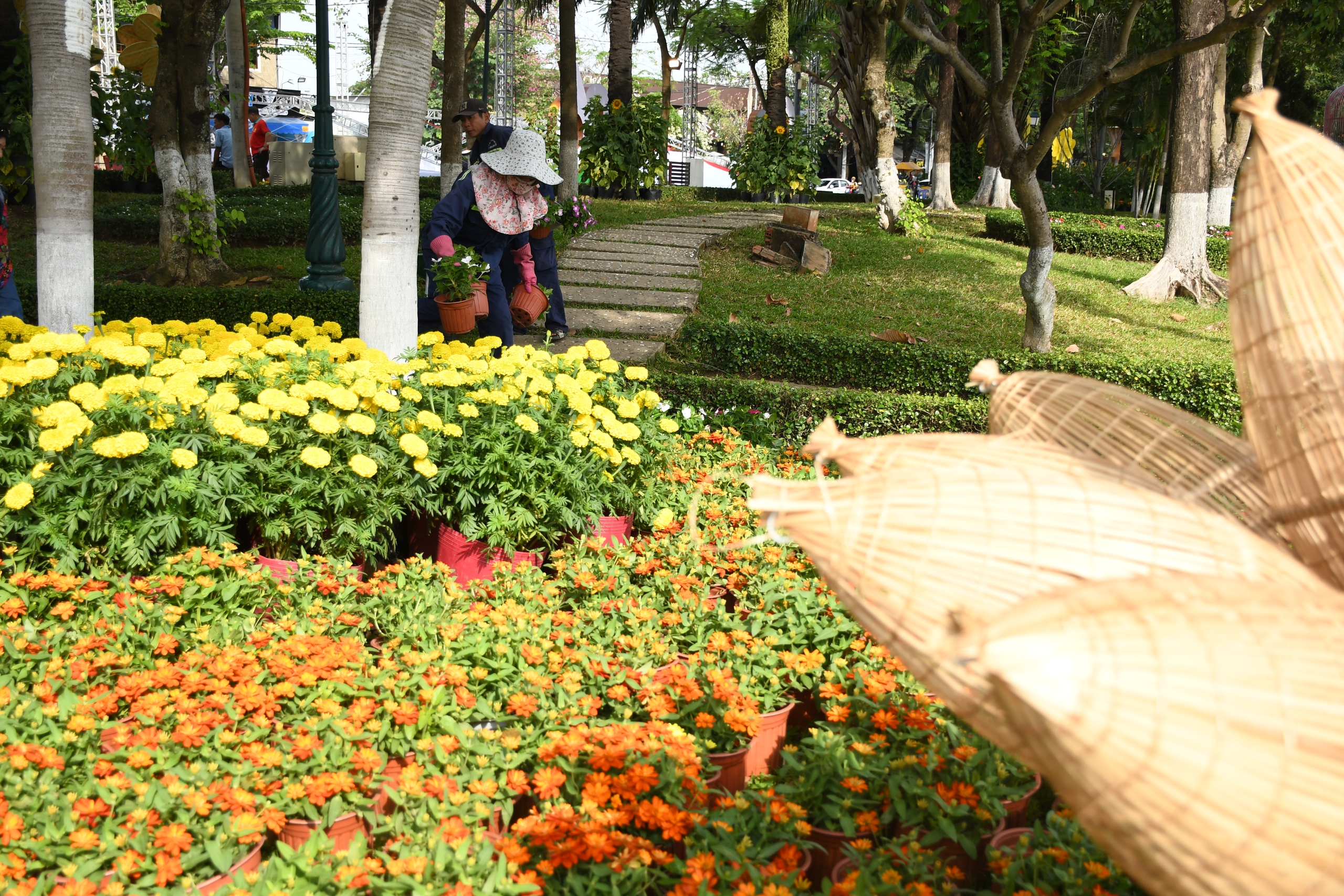 Linh vật ngựa mã đáo thành công đón Xuân 2026 ven sông Đồng Nai - Ảnh 11.