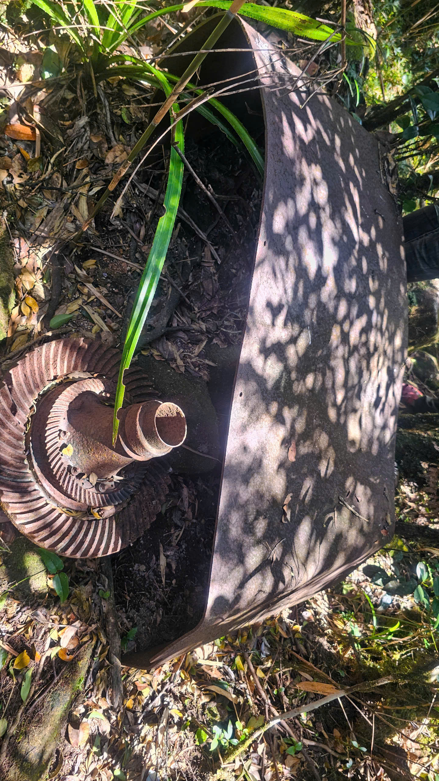 Du xu&acirc;n tr&ecirc;n "n&oacute;c nh&agrave; Quảng Trị" giữa m&acirc;y Trường Sơn - Ảnh 18.