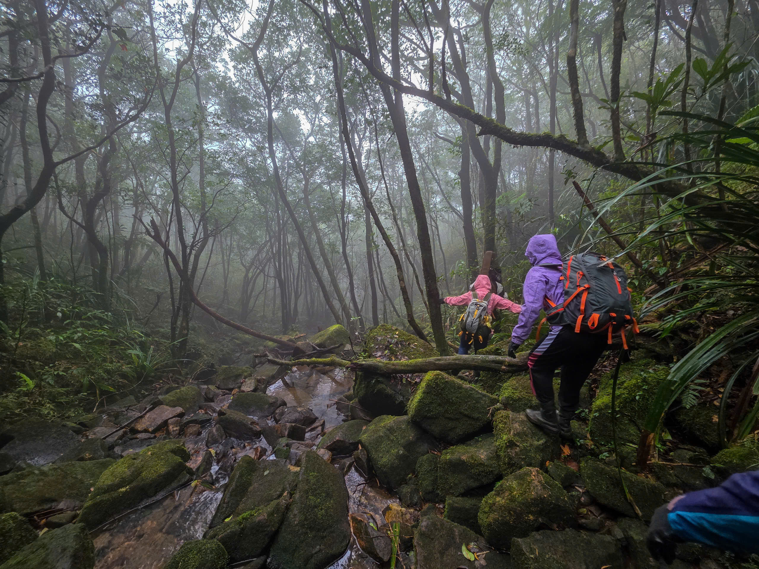 Du xu&acirc;n tr&ecirc;n "n&oacute;c nh&agrave; Quảng Trị" giữa m&acirc;y Trường Sơn - Ảnh 10.