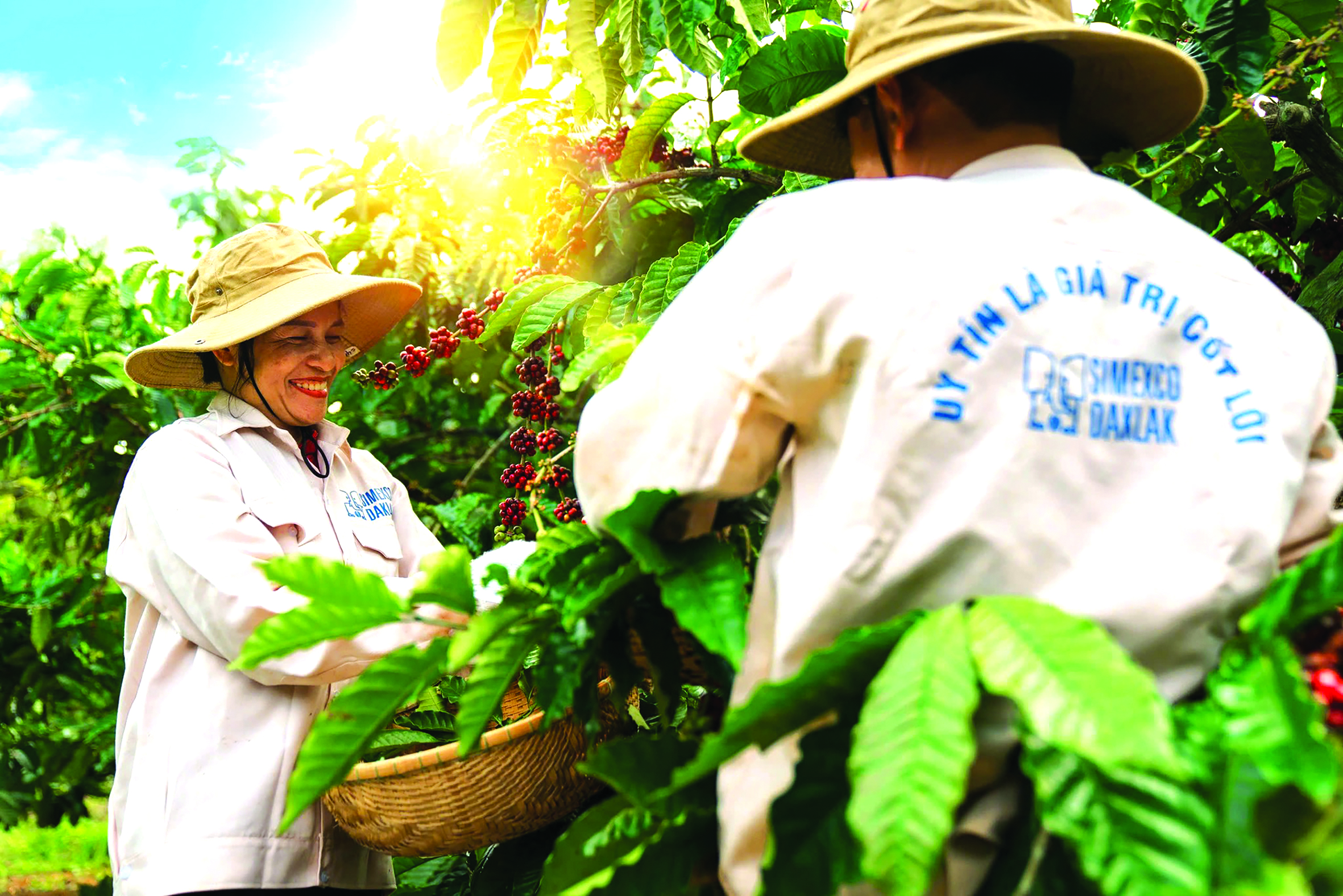 Tâm thế của doanh nghiệp dẫn đầu - Ảnh 2.