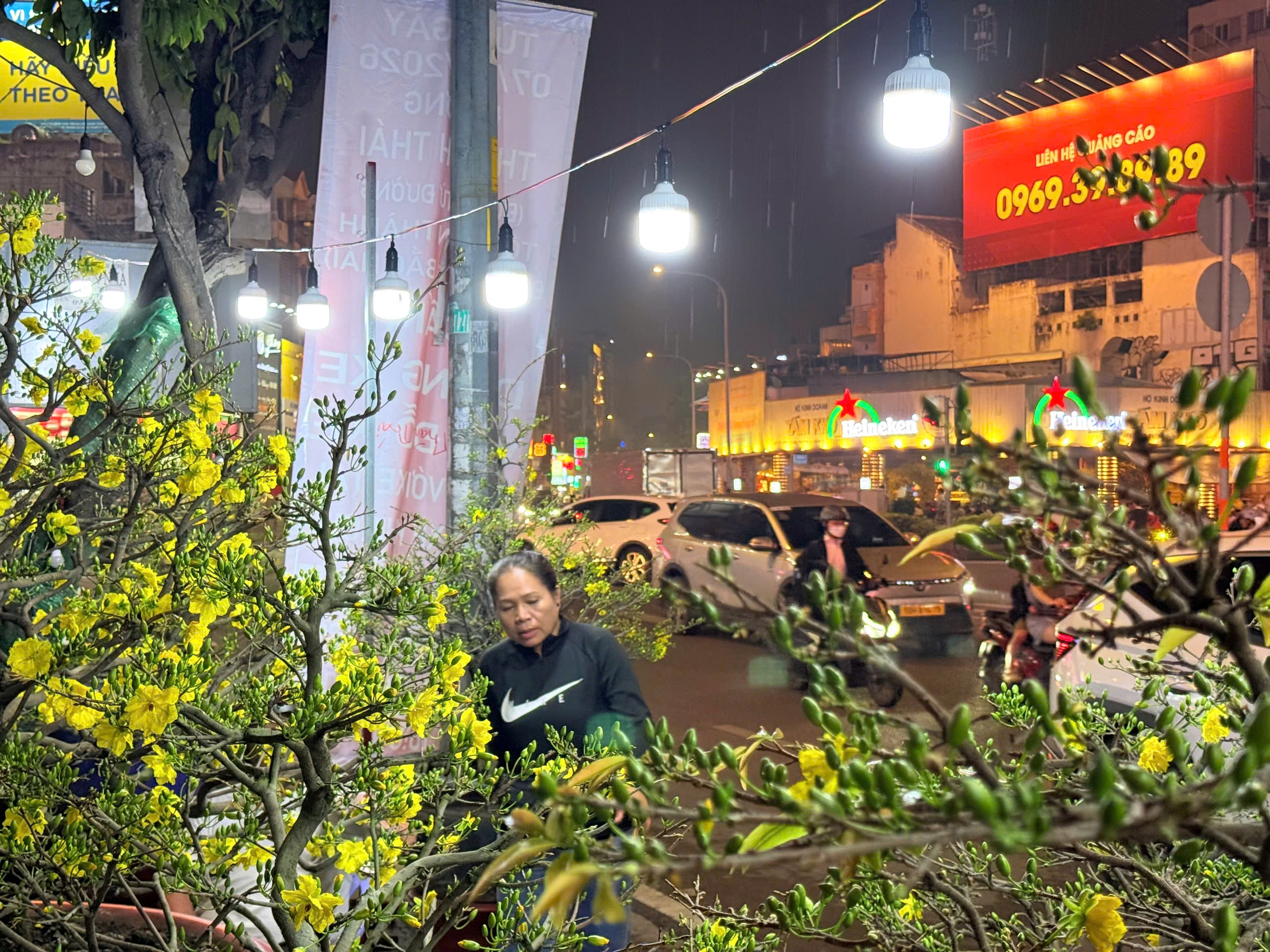 Chuyện thu&ecirc; mai ng&agrave;y Tết v&agrave; những vui buồn &iacute;t ai thấu hiểu - Ảnh 1.