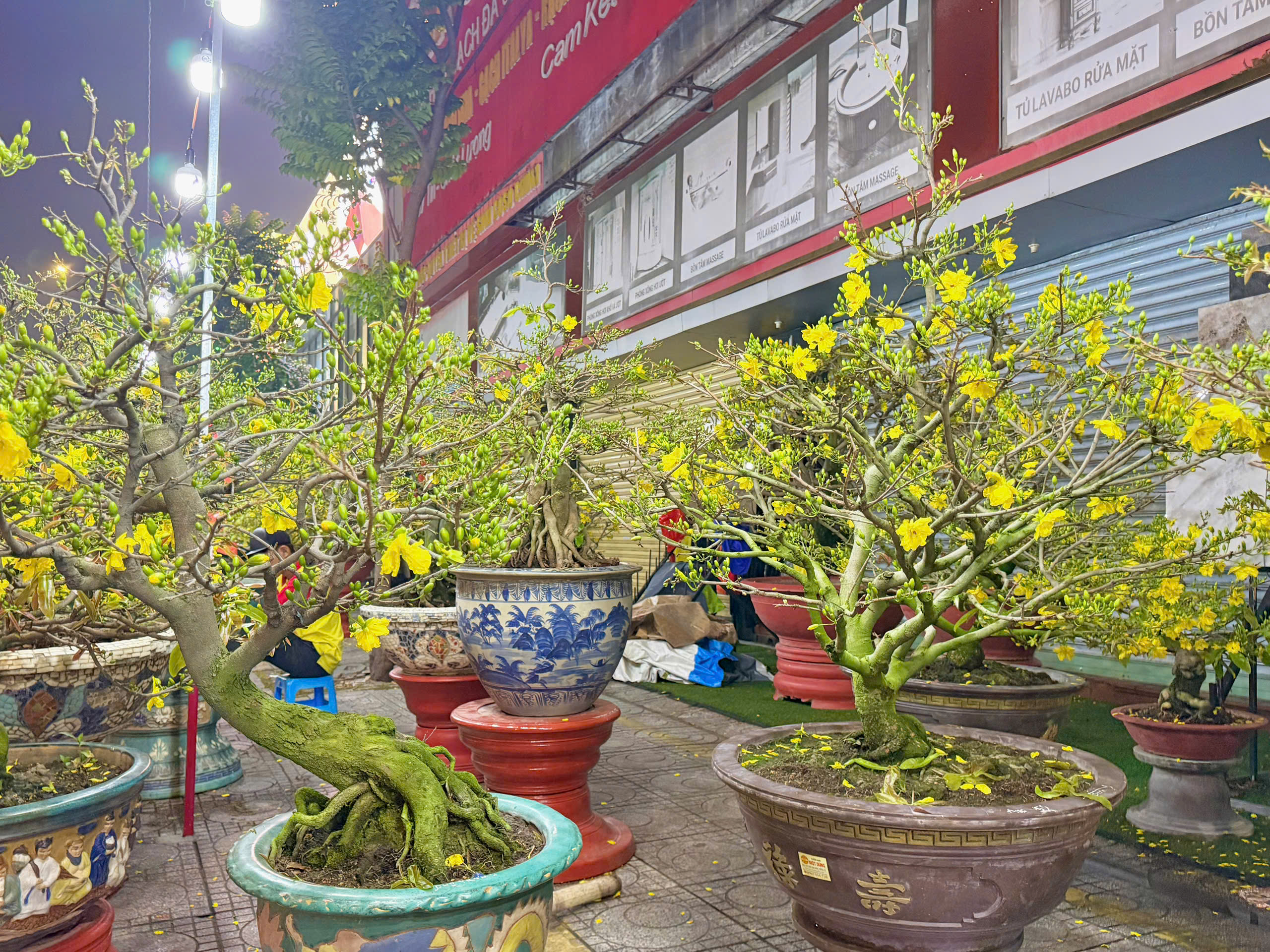 Chuyện thu&ecirc; mai ng&agrave;y Tết v&agrave; những vui buồn &iacute;t ai thấu hiểu - Ảnh 6.