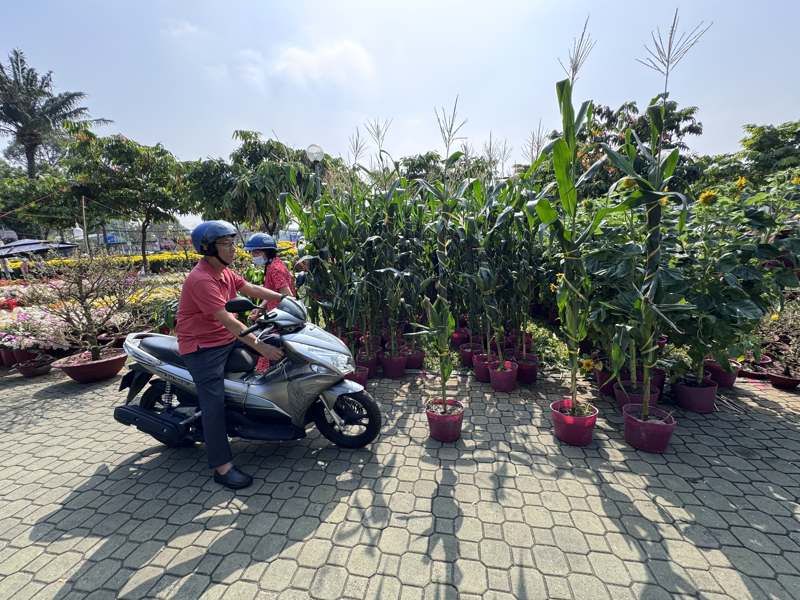 Khám phá các lọai hoa kiểng lạ tại chợ hoa Tết 2026 ở TP HCM - Ảnh 10. Khám phá các lọai hoa kiểng lạ tại chợ hoa Tết 2026 ở TP HCM - Ảnh 10.