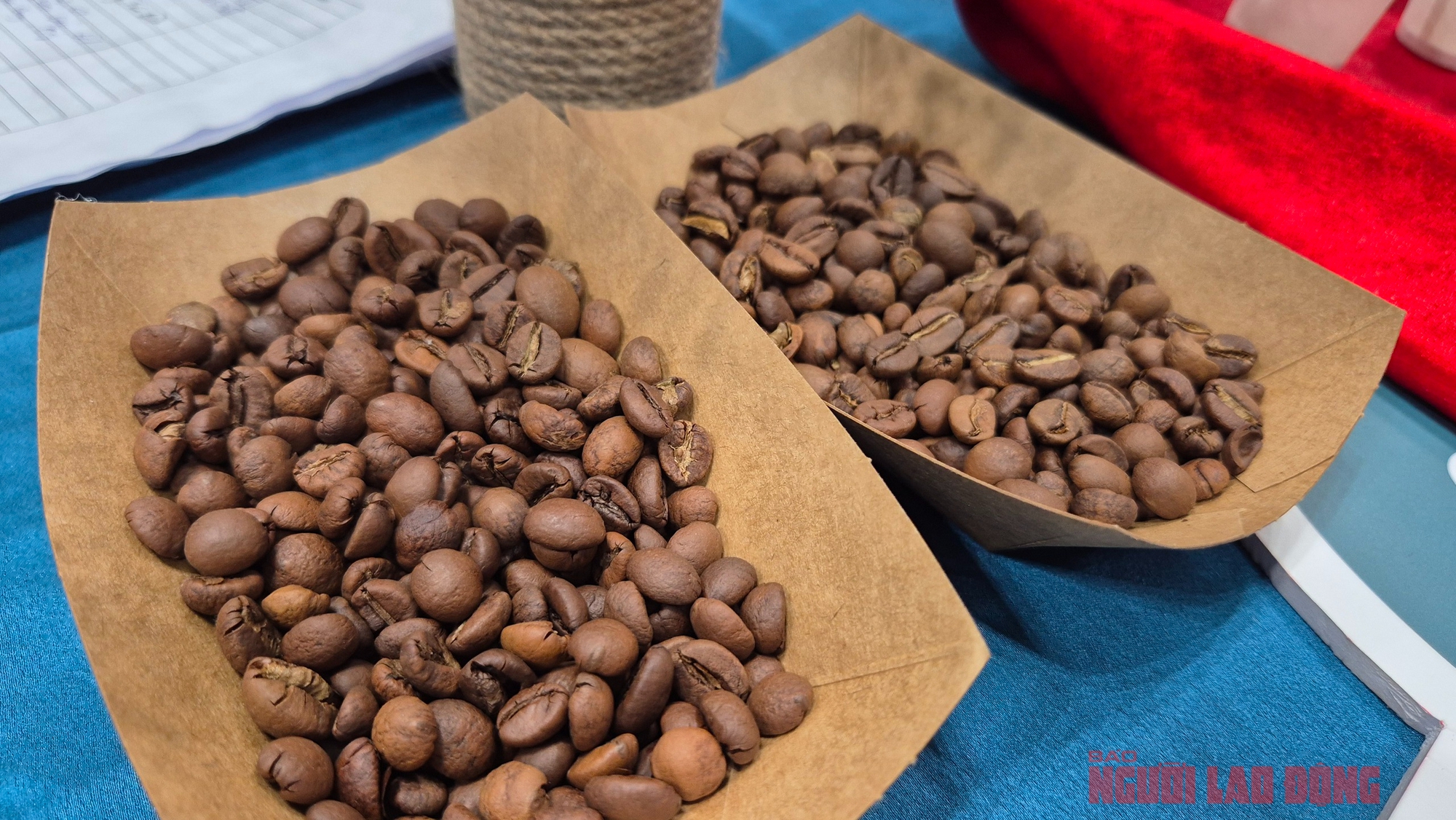 Gi&aacute; c&agrave; ph&ecirc; h&ocirc;m nay 14 - 2: Xu hướng tăng gi&aacute; Robusta v&agrave; Arabica trong 2026 - Ảnh 2.